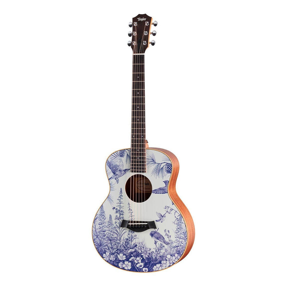 Đàn Guitar Acoustic Stio x Taylor Mtn Series-Mai Nguyên Music