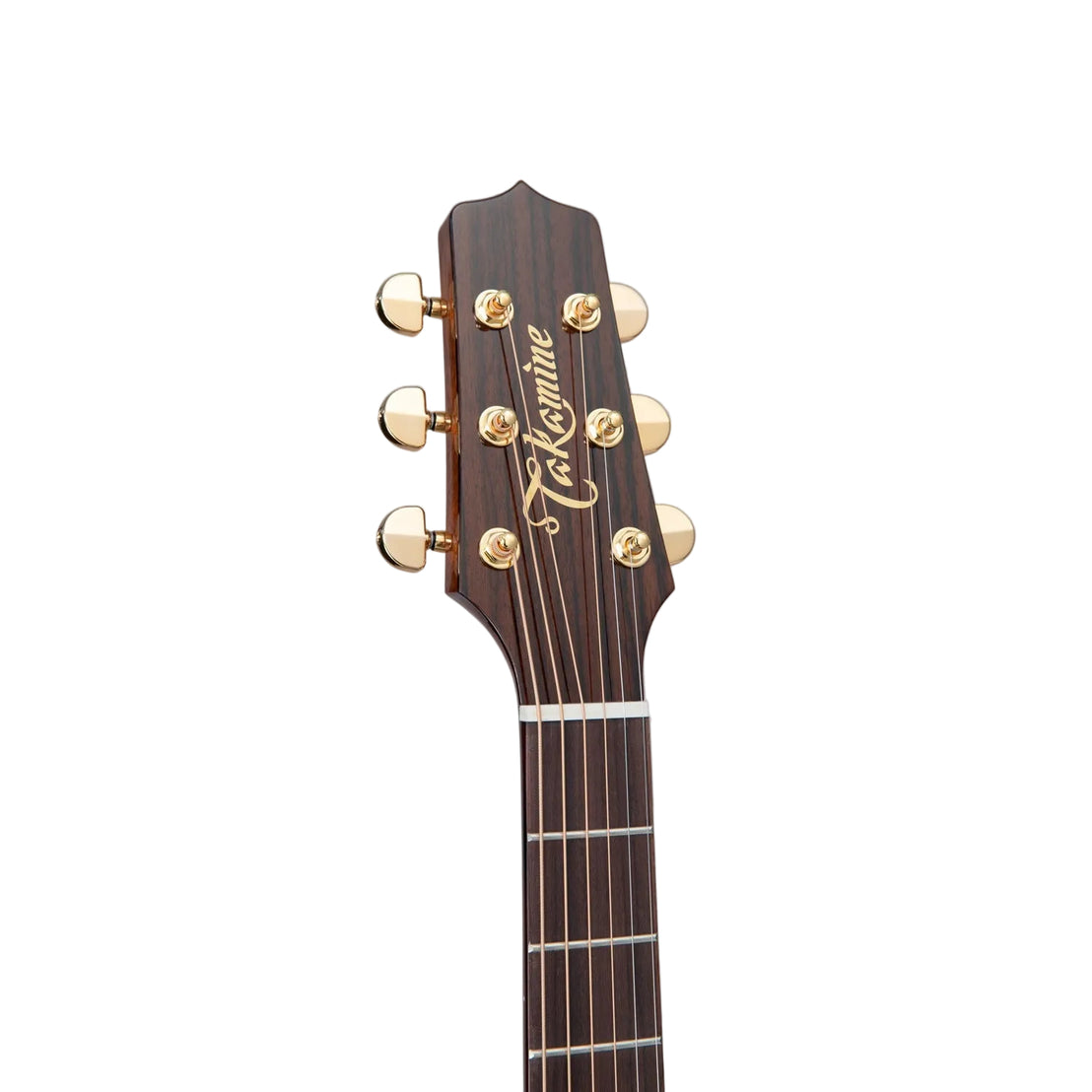 Đàn Guitar Acoustic Takamine P5DC-Mai Nguyên Music