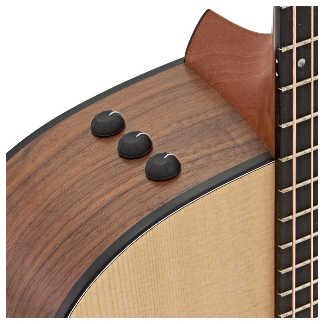 Đàn Guitar Acoustic Taylor 110ce w/Bag-Mai Nguyên Music