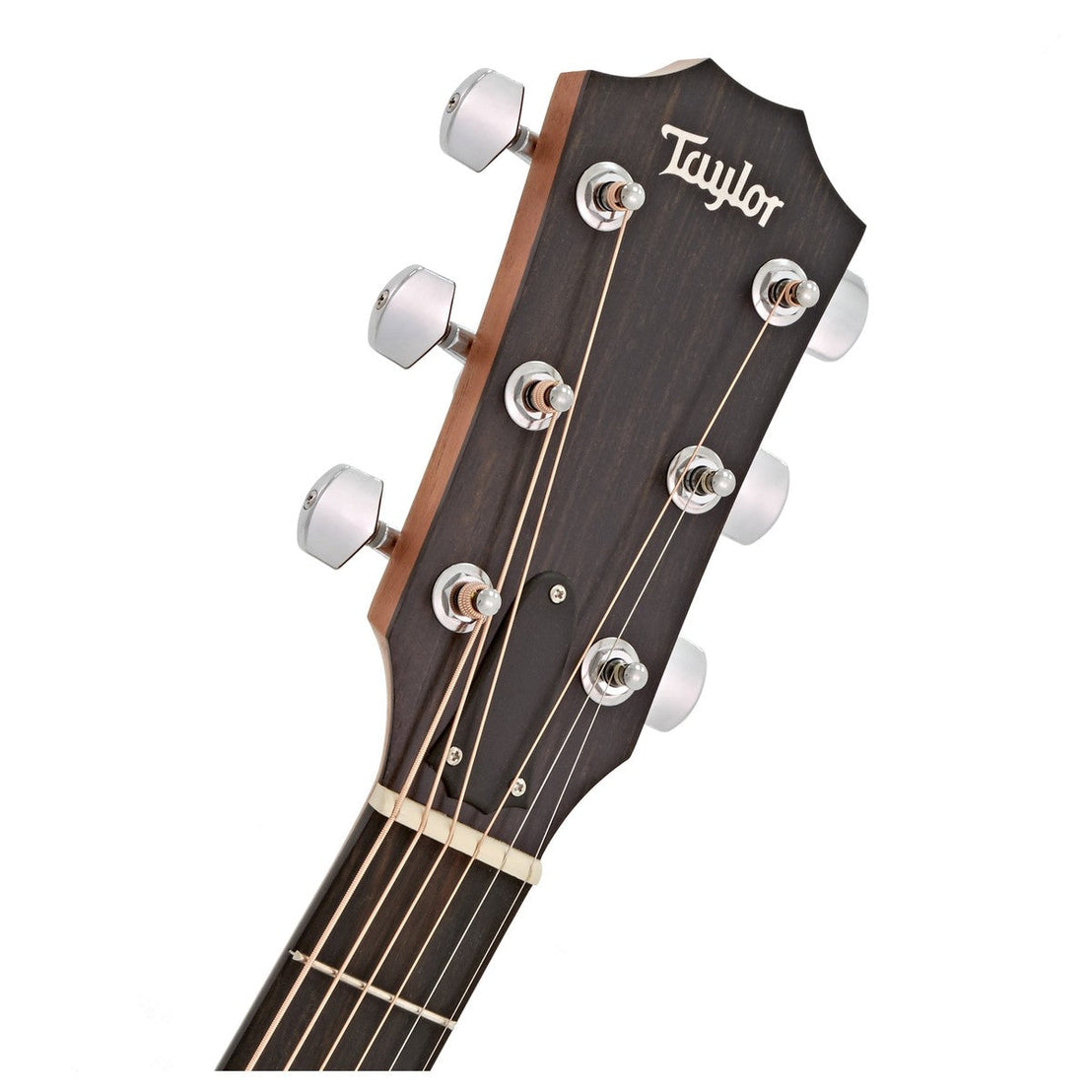 Đàn Guitar Acoustic Taylor 110ce w/Bag-Mai Nguyên Music