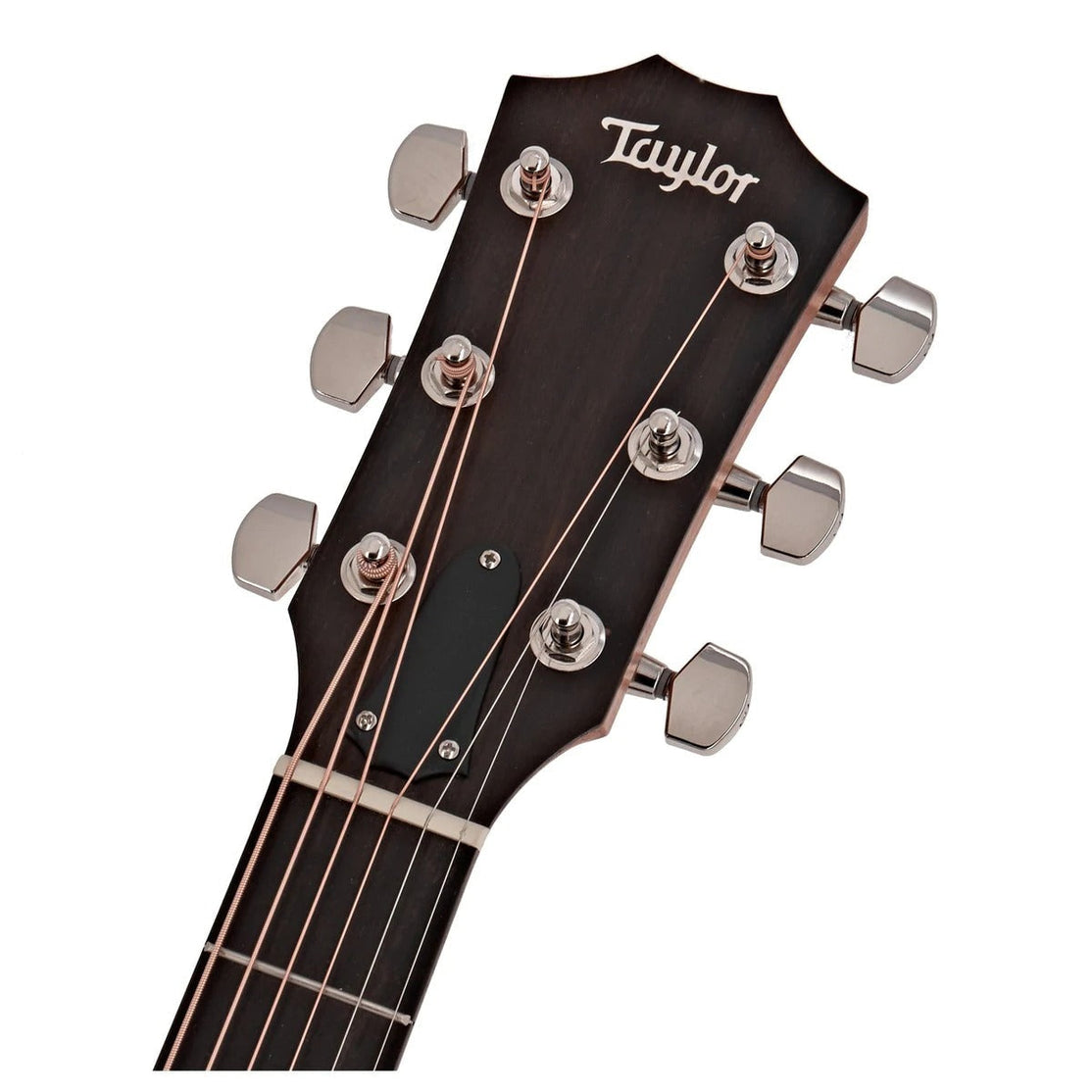 Đàn Guitar Acoustic Taylor 210ce Plus w/Bag-Mai Nguyên Music