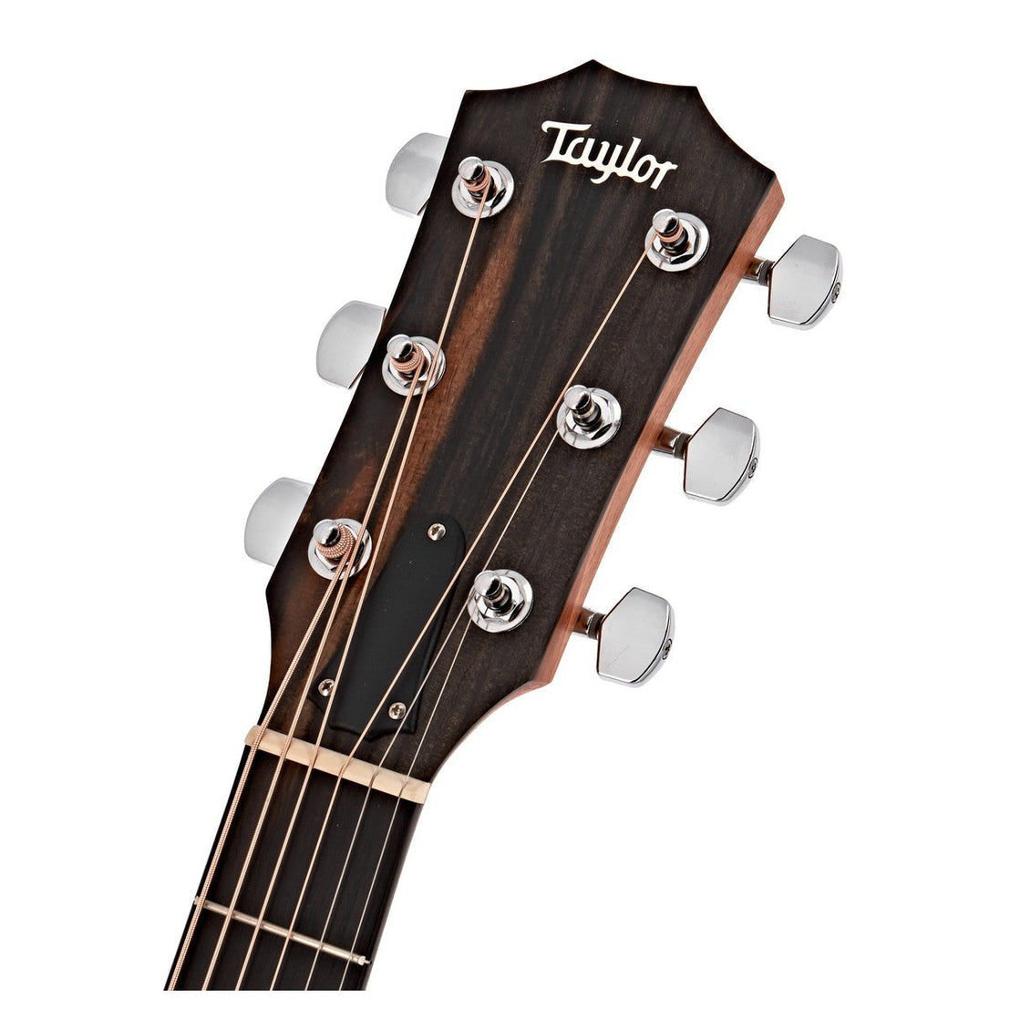 Đàn Guitar Acoustic Taylor 210ce w/Bag-Mai Nguyên Music
