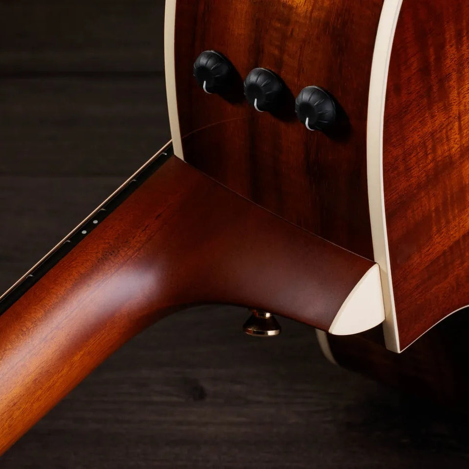 Đàn Guitar Acoustic Taylor 214ce-K DLX Special Edition - Honeyburst-Mai Nguyên Music