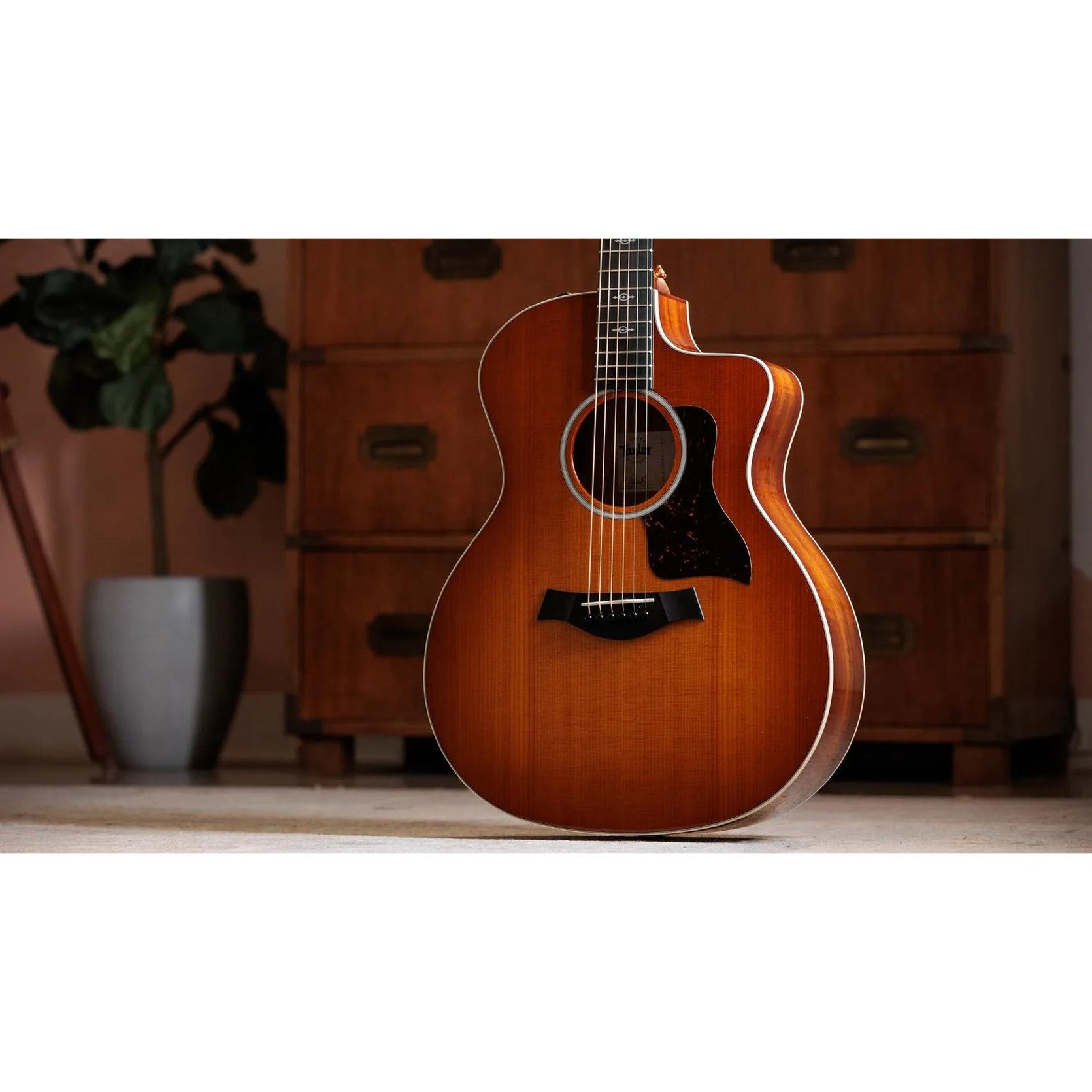 Đàn Guitar Acoustic Taylor 214ce-K DLX Special Edition - Honeyburst-Mai Nguyên Music