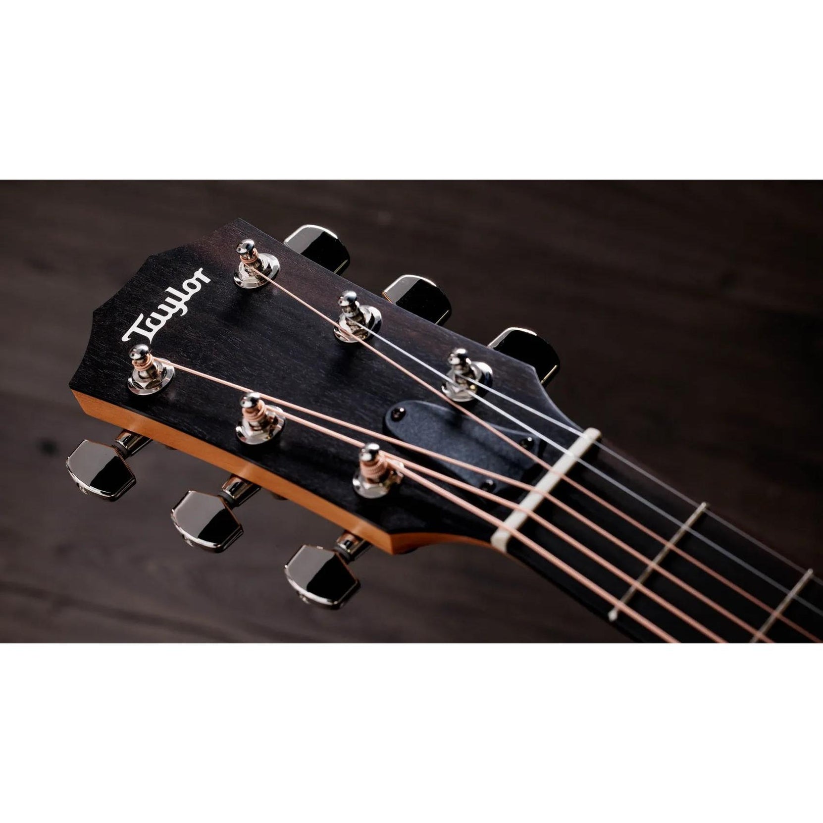Đàn Guitar Acoustic Taylor 214ce Plus - Natural-Mai Nguyên Music