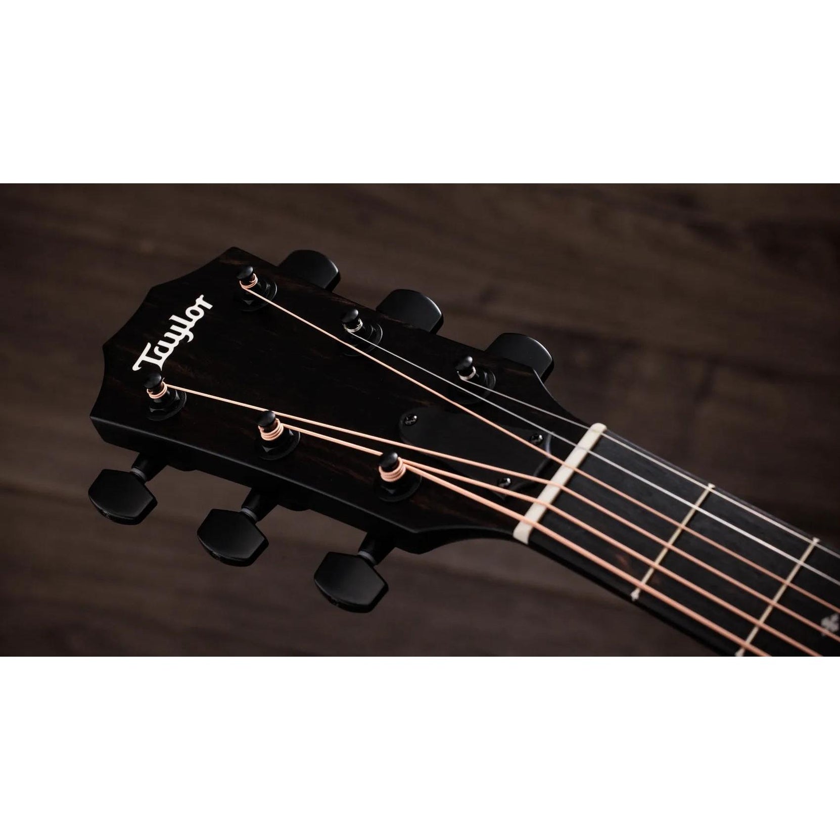 Đàn Guitar Acoustic Taylor 214ce Plus Special Edition-Mai Nguyên Music