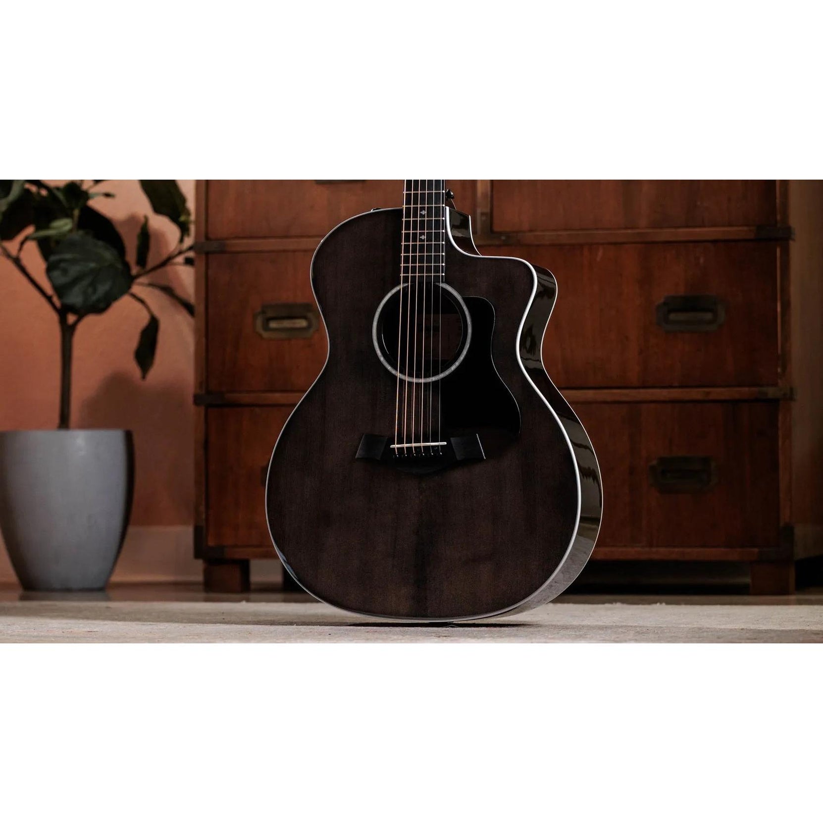 Đàn Guitar Acoustic Taylor 214ce Plus Special Edition-Mai Nguyên Music