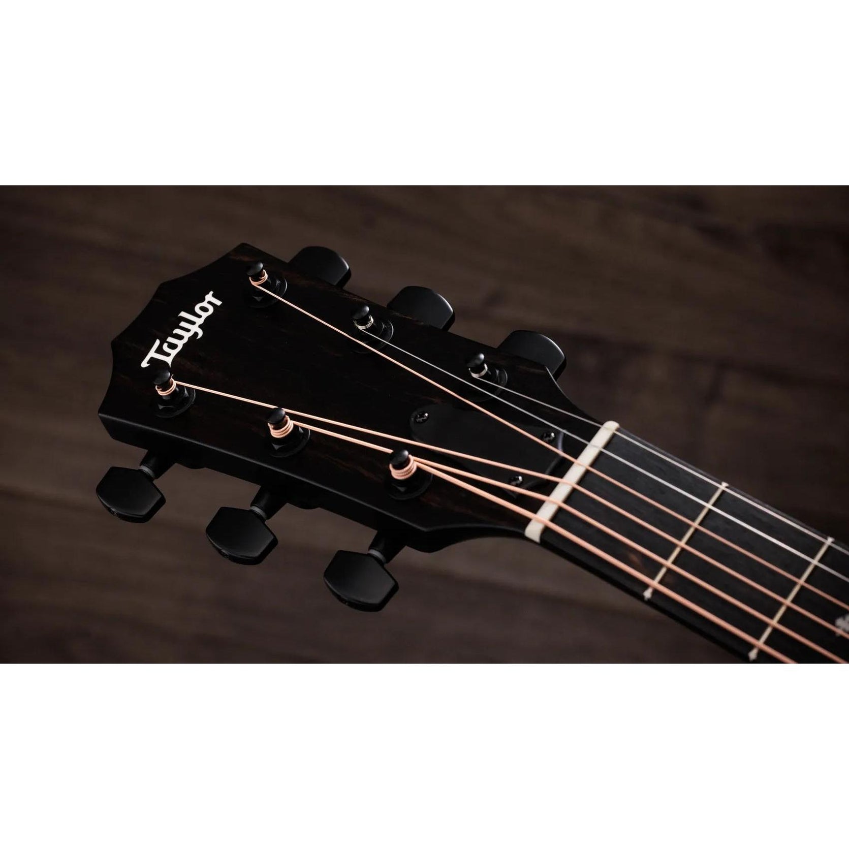 Đàn Guitar Acoustic Taylor 214ce Plus Special Edition-Mai Nguyên Music