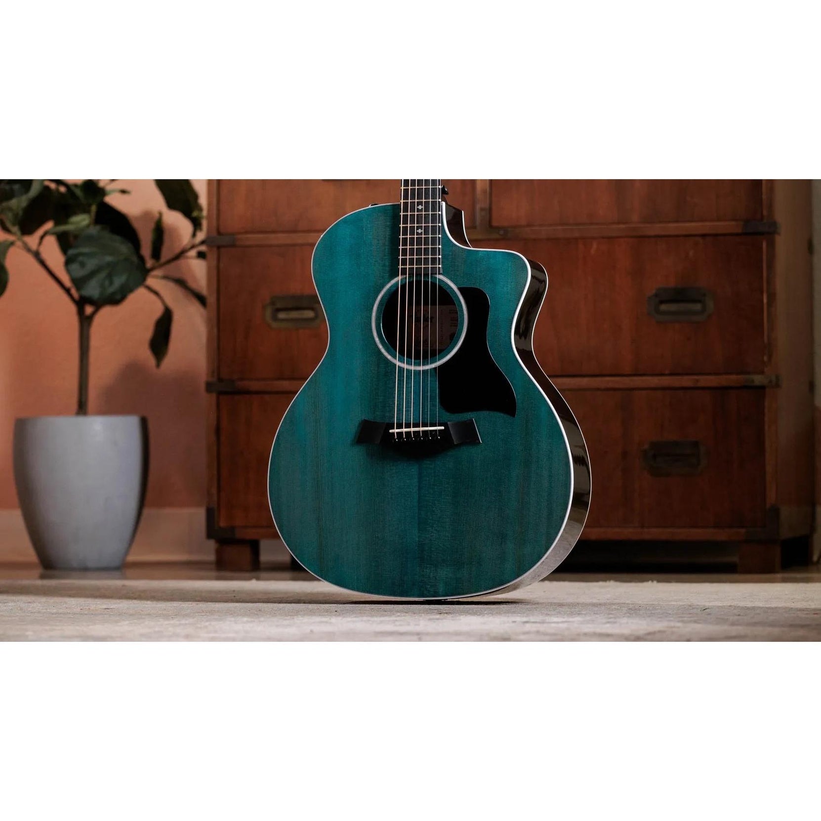 Đàn Guitar Acoustic Taylor 214ce Plus Special Edition-Mai Nguyên Music