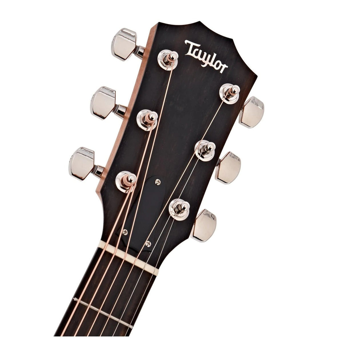 Đàn Guitar Acoustic Taylor 214ce Plus w/Bag-Mai Nguyên Music