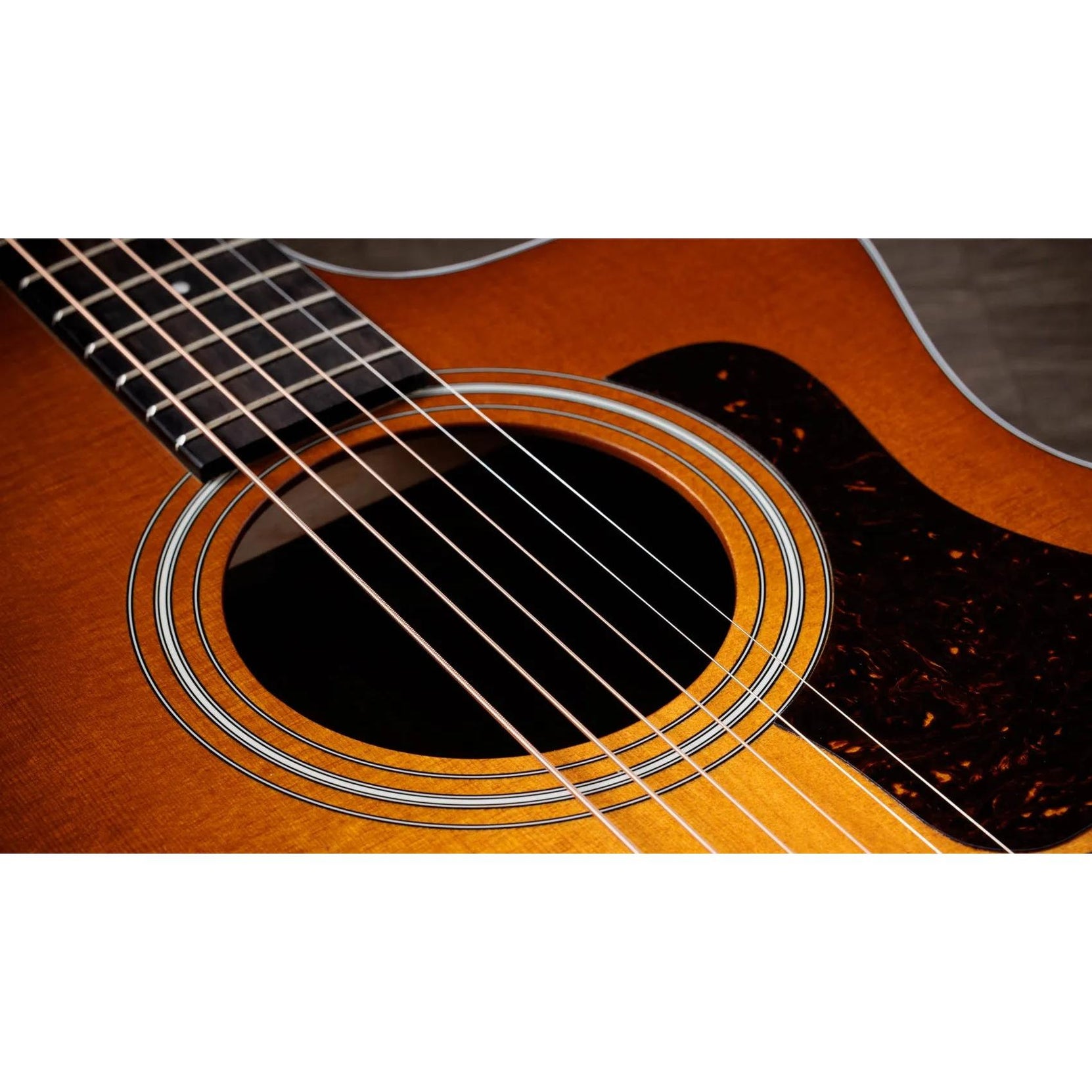 Đàn Guitar Acoustic Taylor 214ce Special Edition - Honeyburst-Mai Nguyên Music