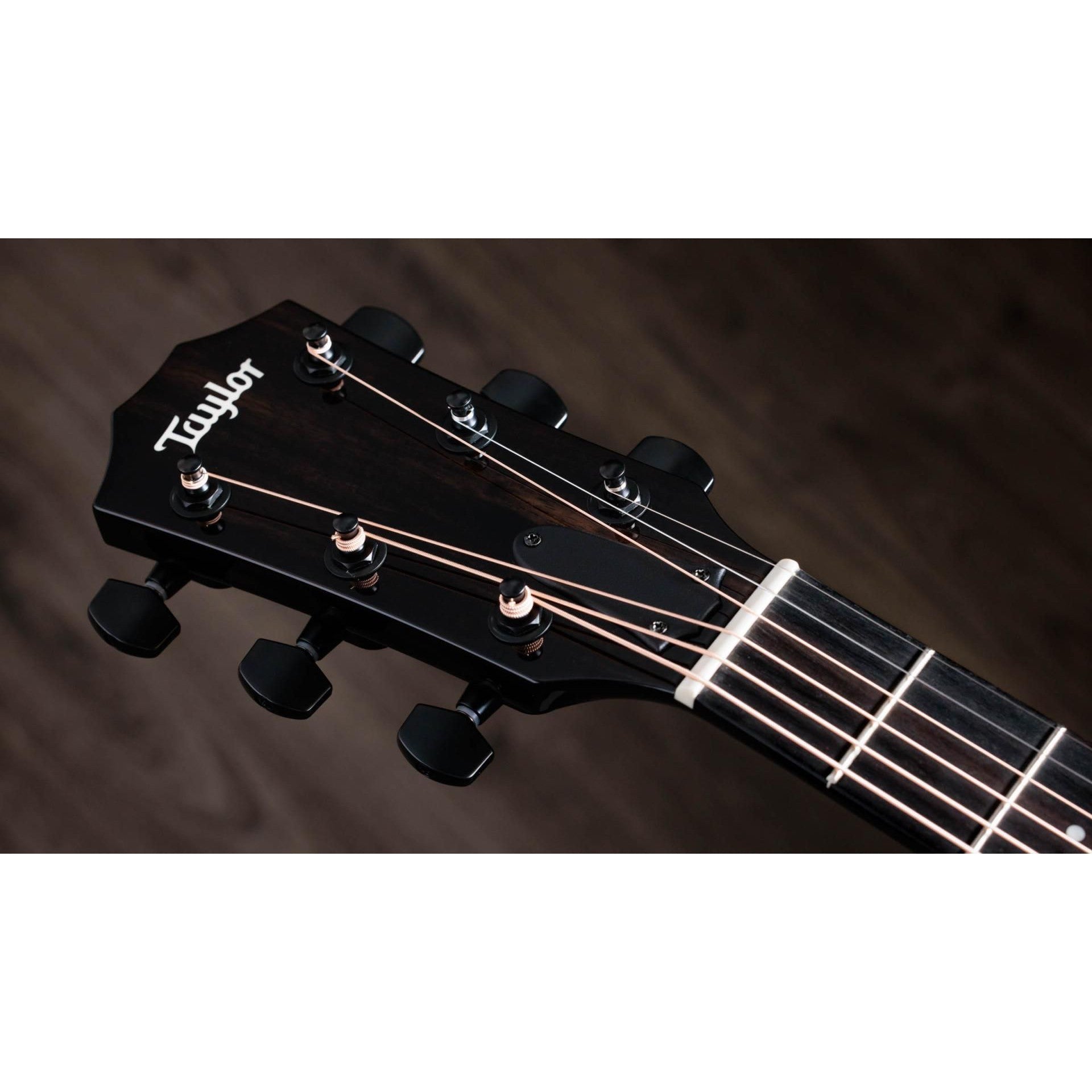 Đàn Guitar Acoustic Taylor 217e-BLK Plus-Mai Nguyên Music