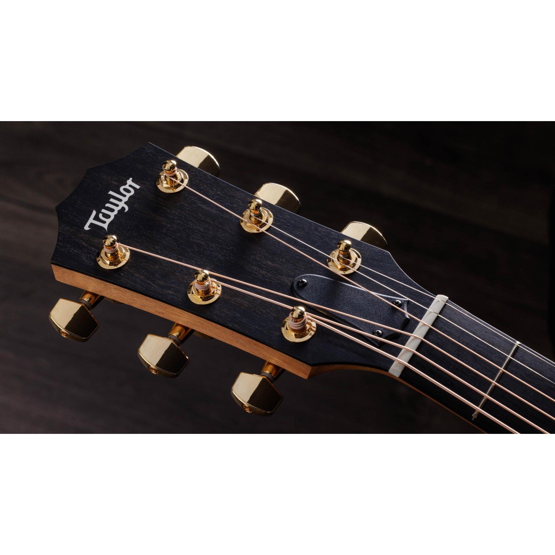 Đàn Guitar Acoustic Taylor 222ce-K DLX w/Softshell Case-Mai Nguyên Music