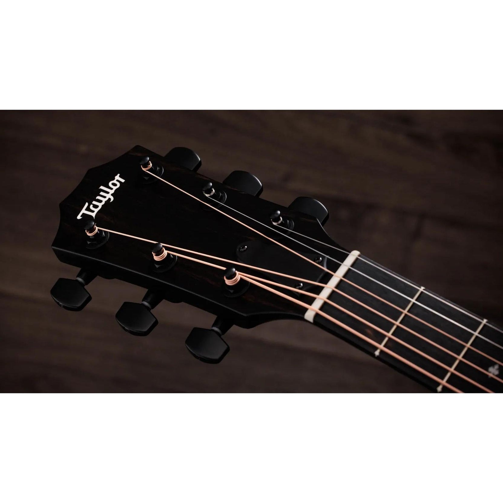 Đàn Guitar Acoustic Taylor 224ce Plus Special Edition - Trans Red-Mai Nguyên Music