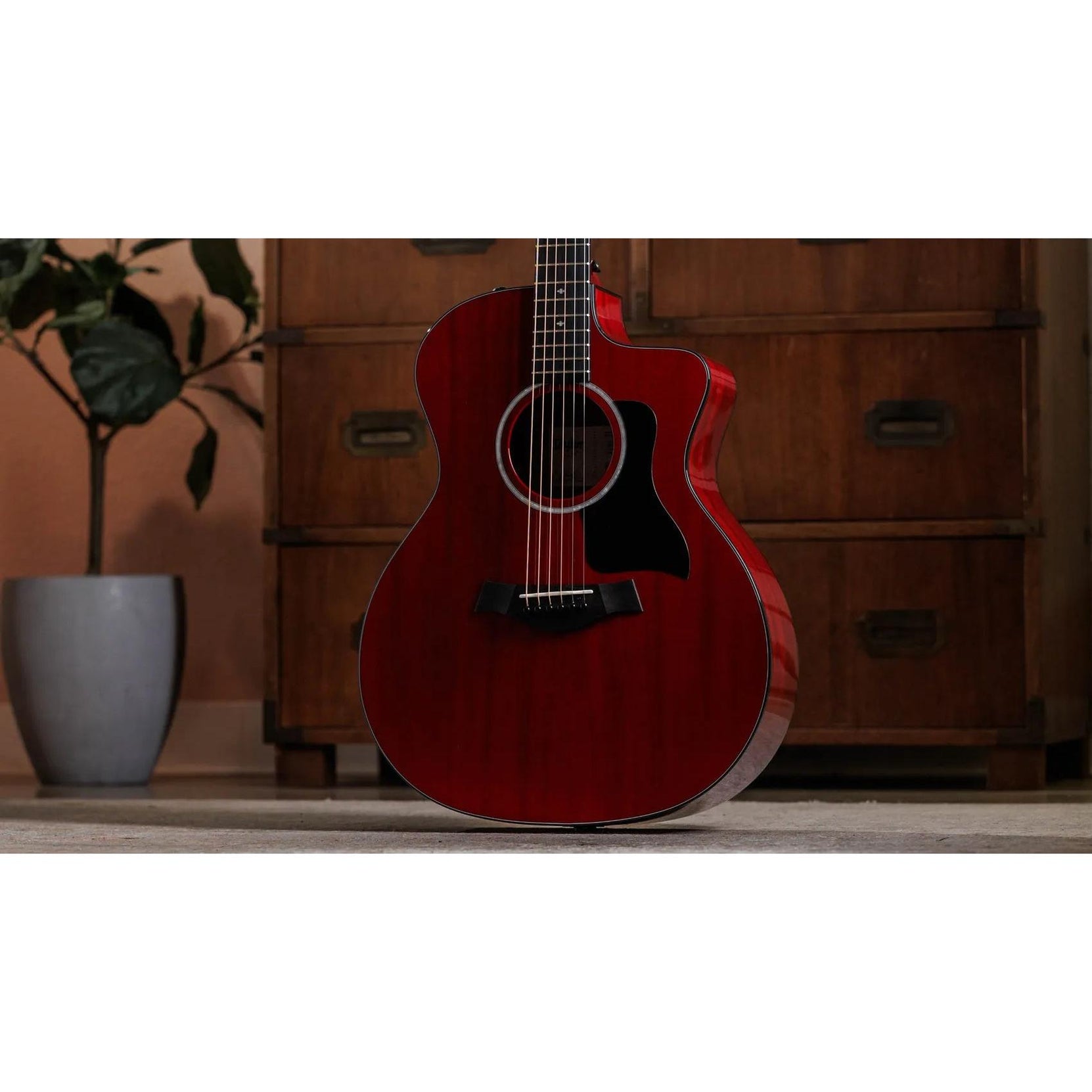 Đàn Guitar Acoustic Taylor 224ce Plus Special Edition - Trans Red-Mai Nguyên Music