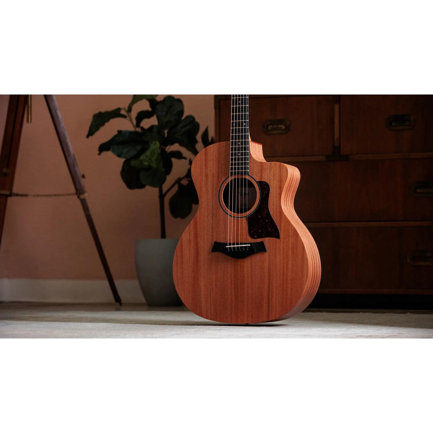 Đàn Guitar Acoustic Taylor 24ce - Natural-Mai Nguyên Music