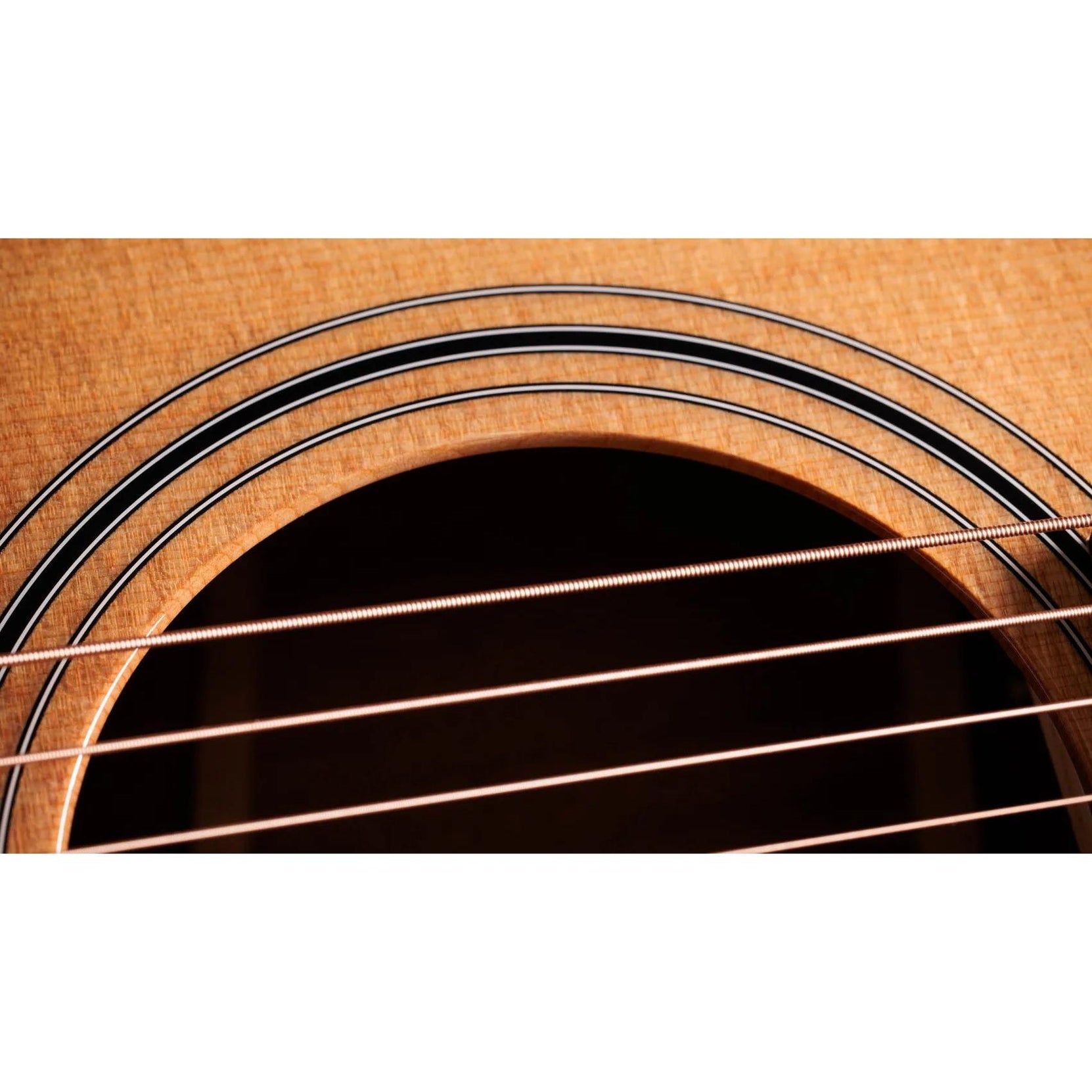 Đàn Guitar Acoustic Taylor 314ce Studio-Mai Nguyên Music