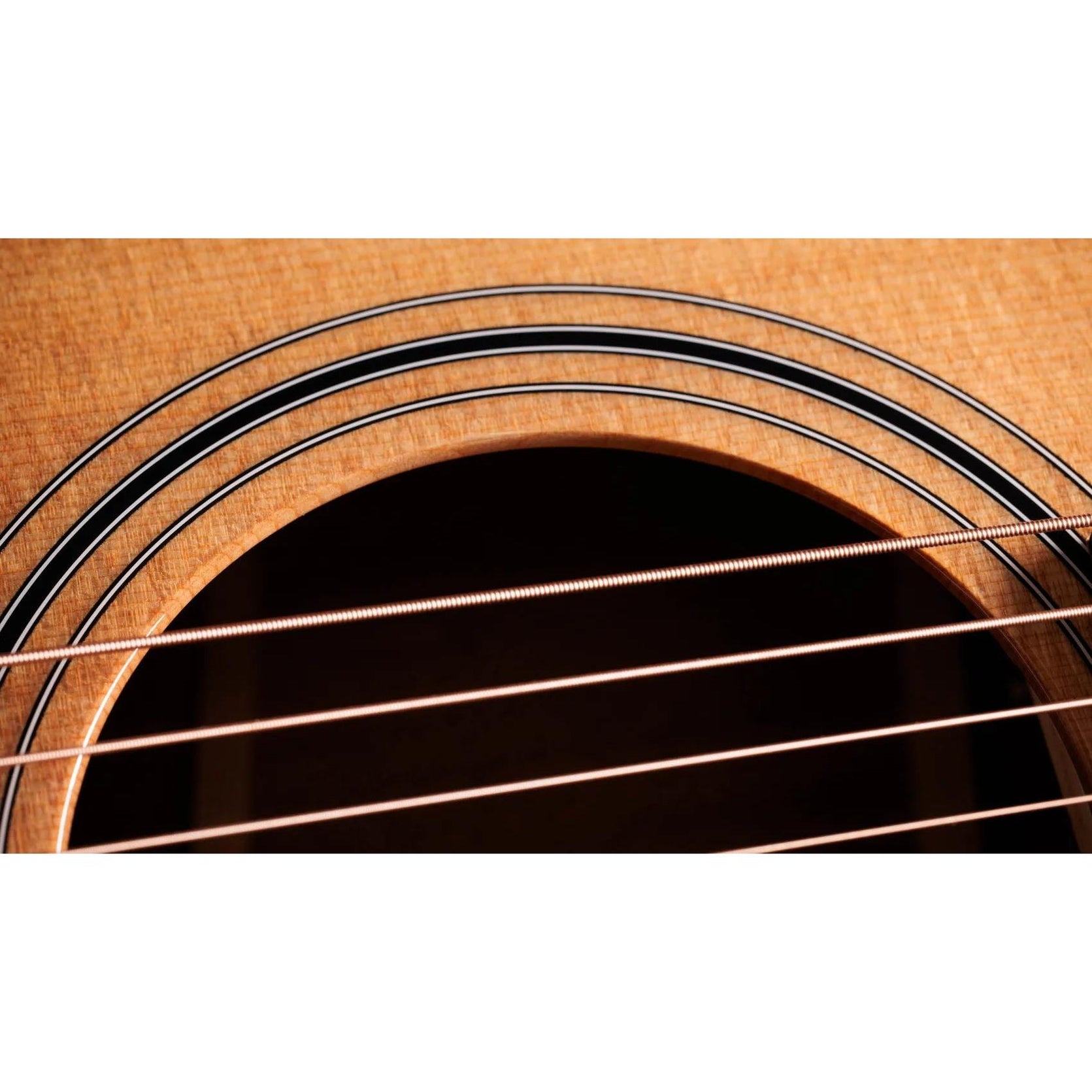 Đàn Guitar Acoustic Taylor 314ce Studio-Mai Nguyên Music