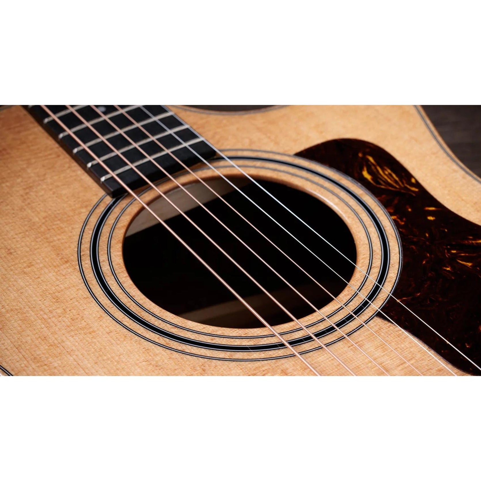 Đàn Guitar Acoustic Taylor 314ce Studio-Mai Nguyên Music