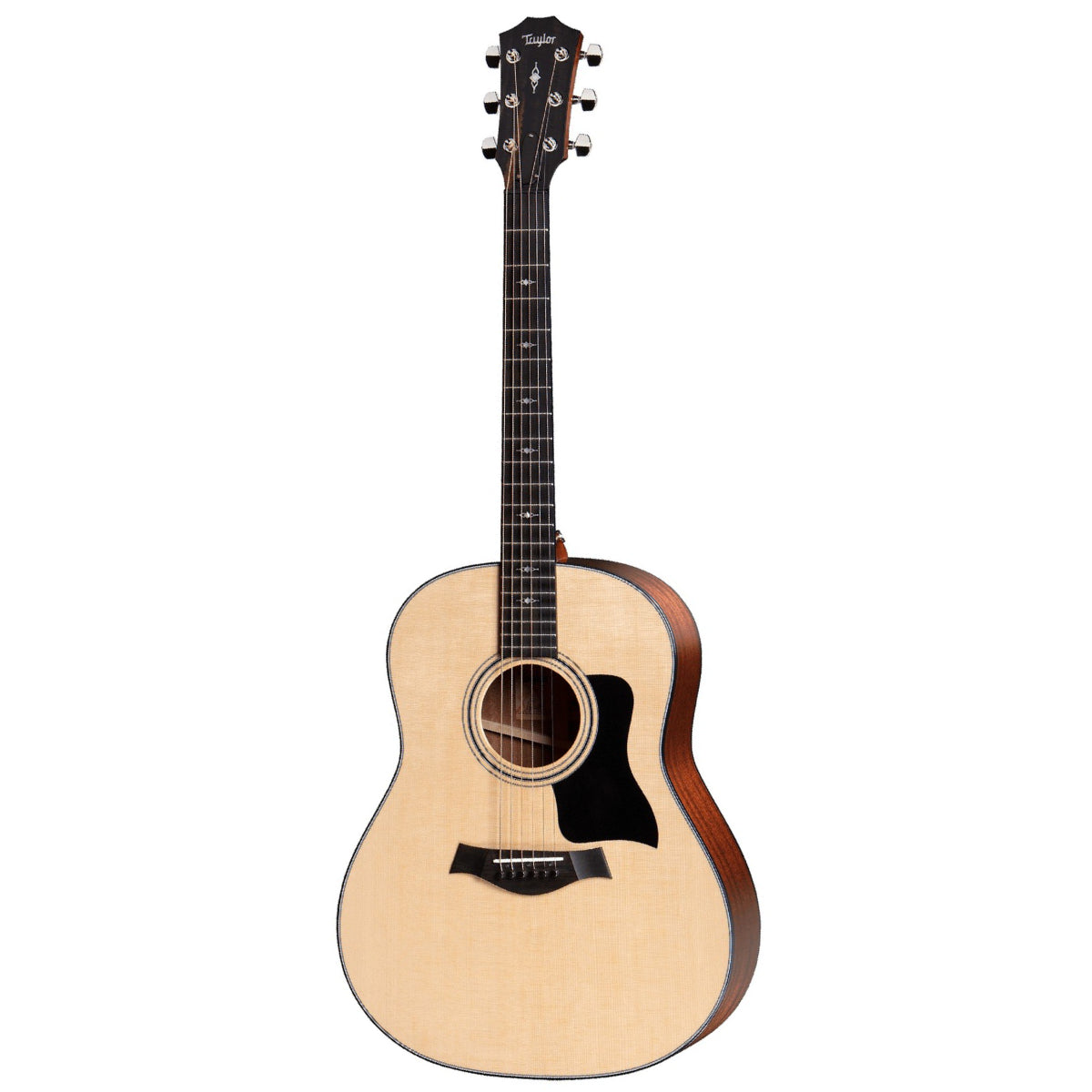 Đàn Guitar Acoustic Taylor 317 w/Case-Mai Nguyên Music