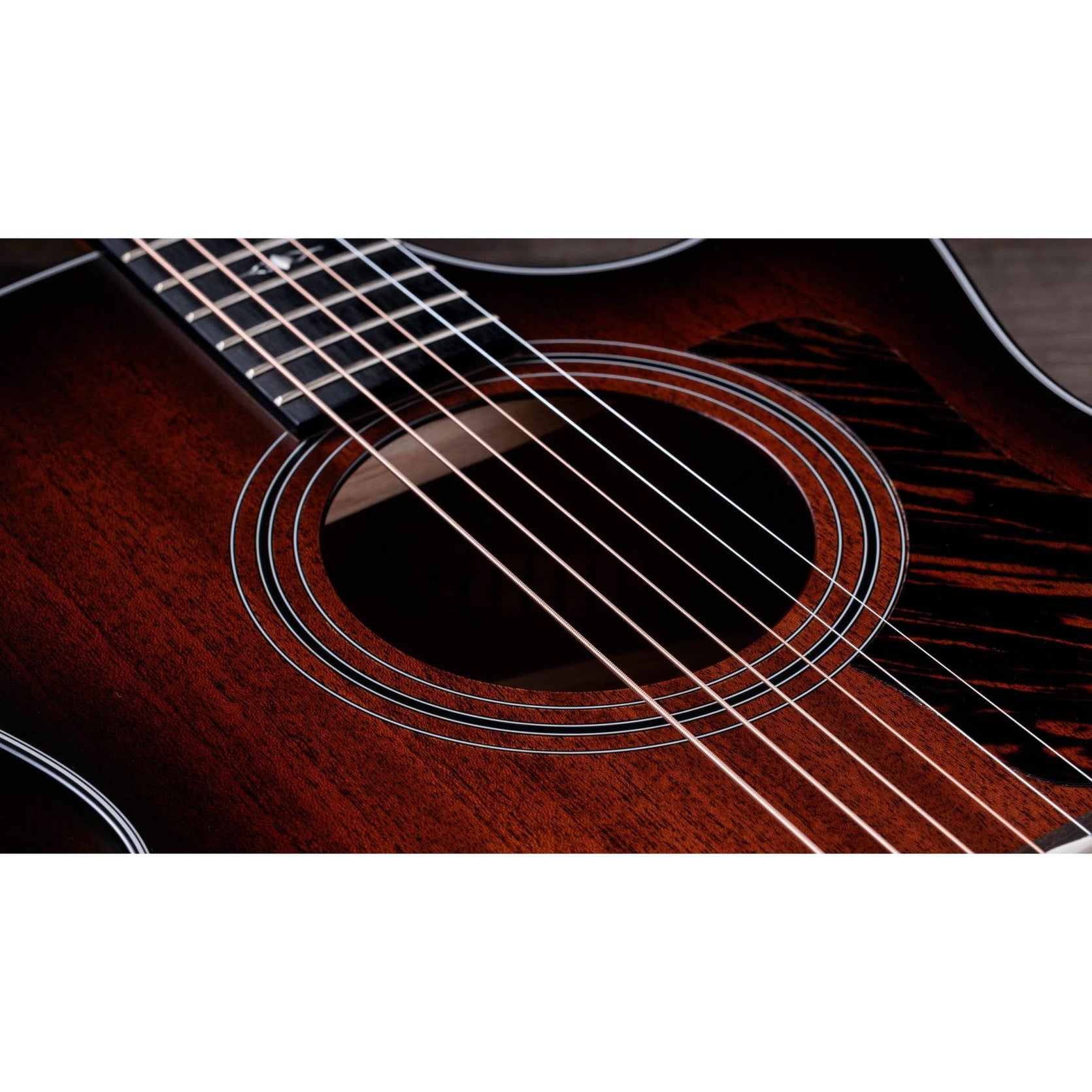 Đàn Guitar Acoustic Taylor 324ce Tropical Mahogany-Mai Nguyên Music