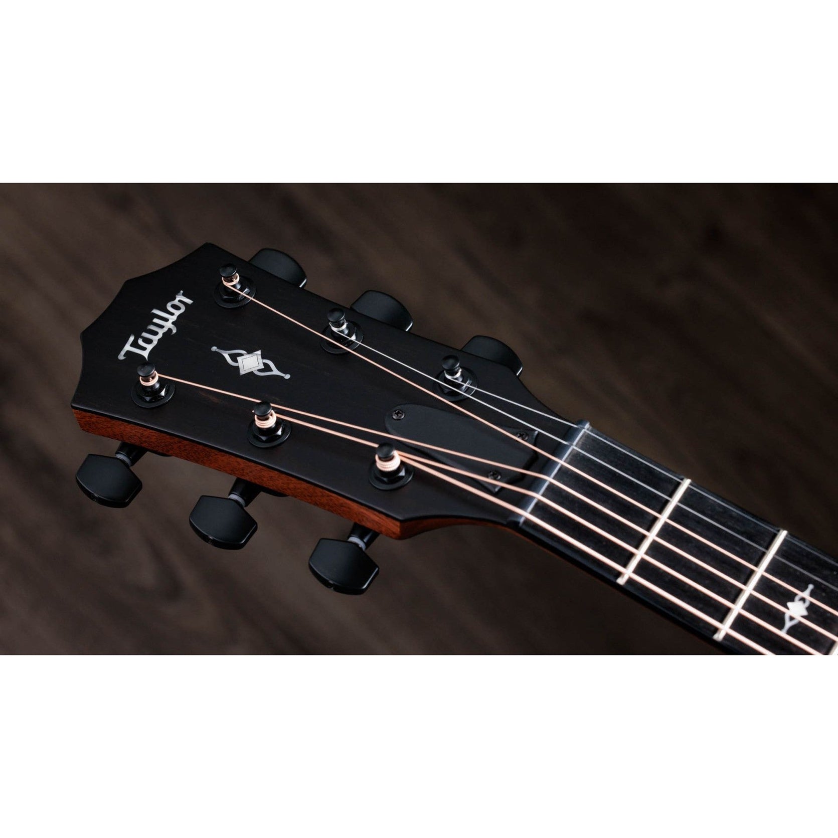 Đàn Guitar Acoustic Taylor 324ce Tropical Mahogany-Mai Nguyên Music