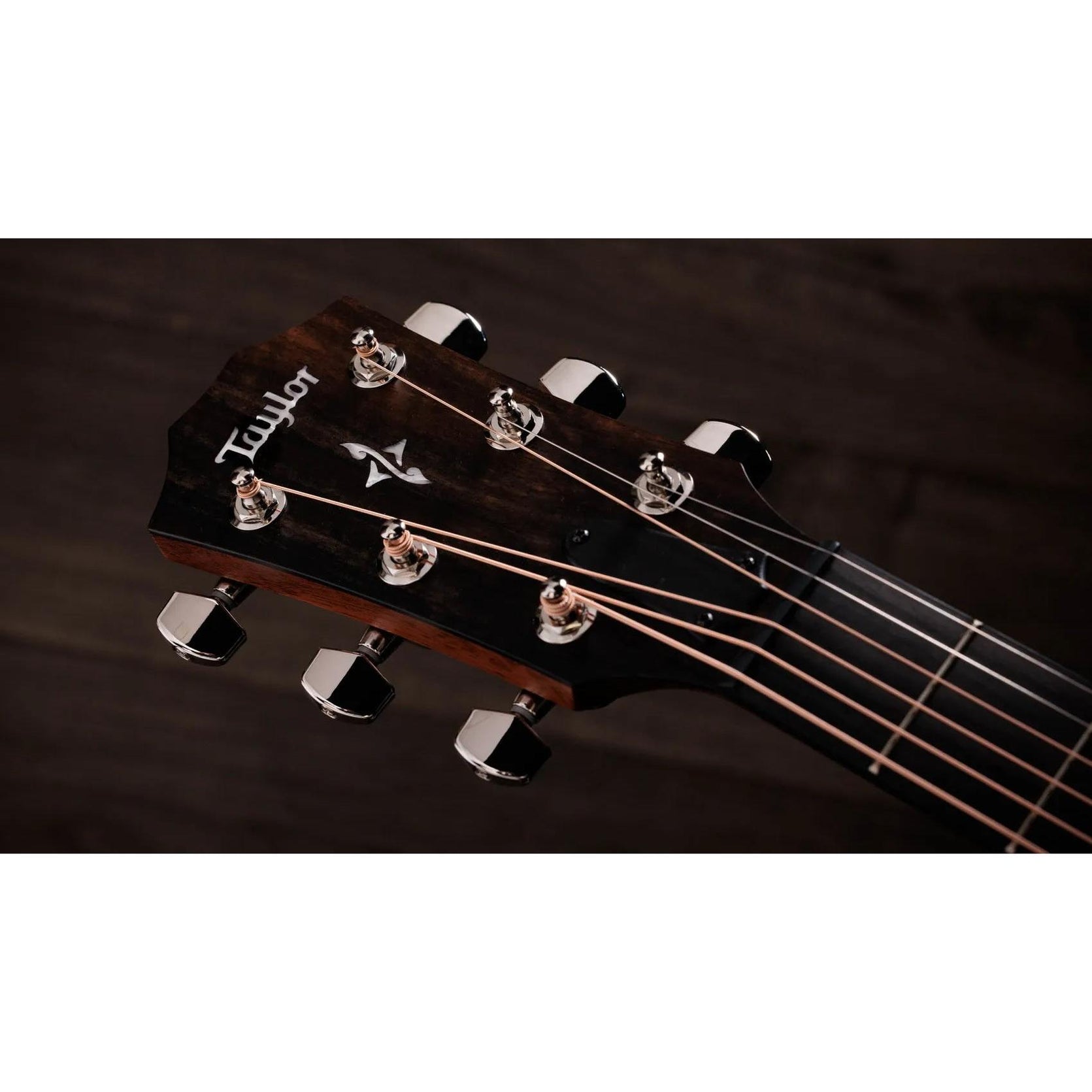 Đàn Guitar Acoustic Taylor 414ce-Mai Nguyên Music