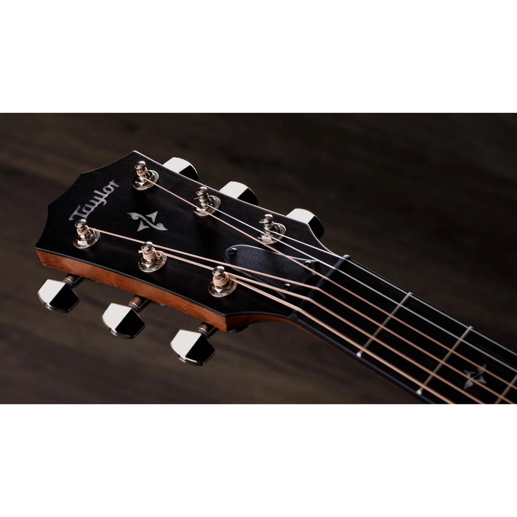 Đàn Guitar Acoustic Taylor 414ce-Mai Nguyên Music