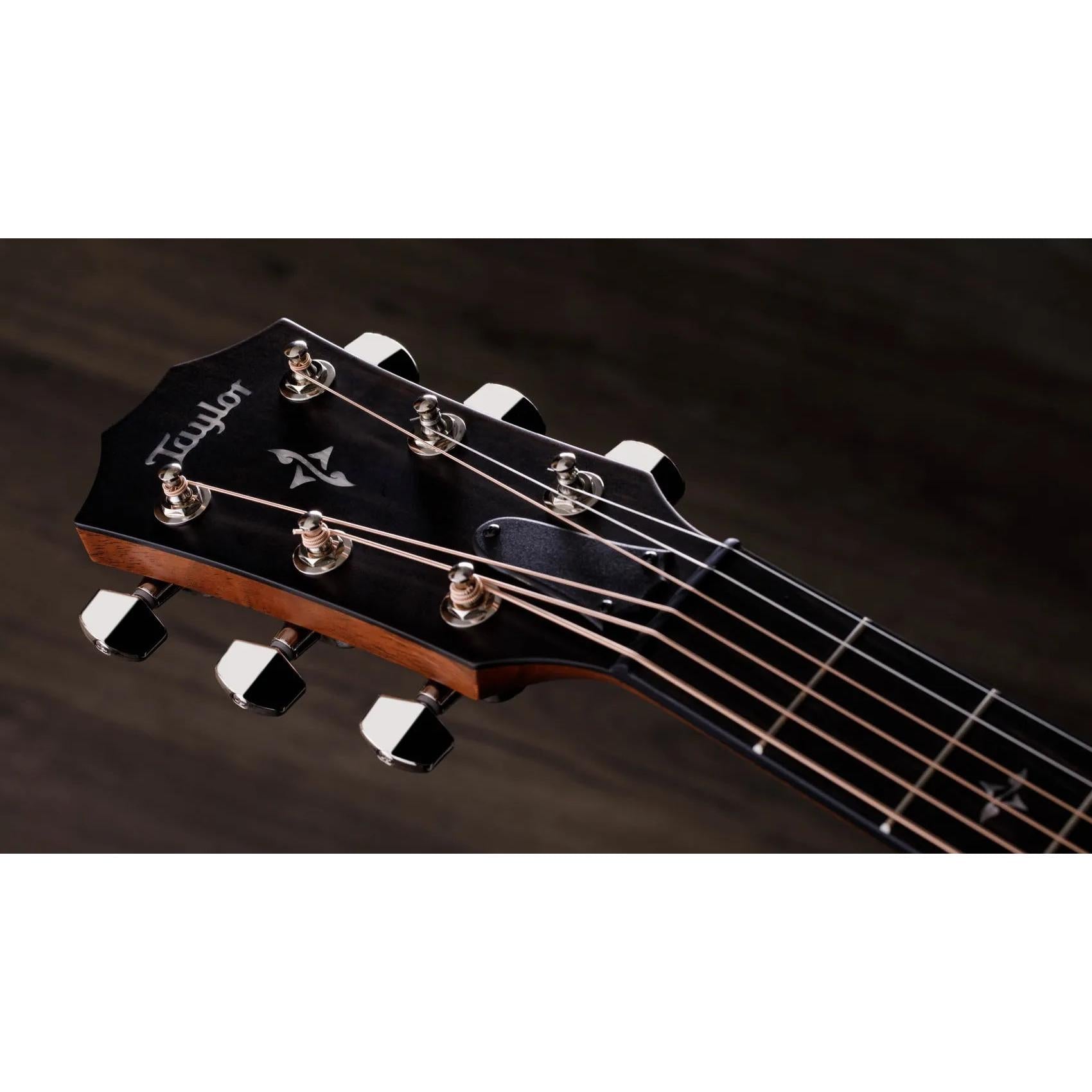 Đàn Guitar Acoustic Taylor 414ce-Mai Nguyên Music