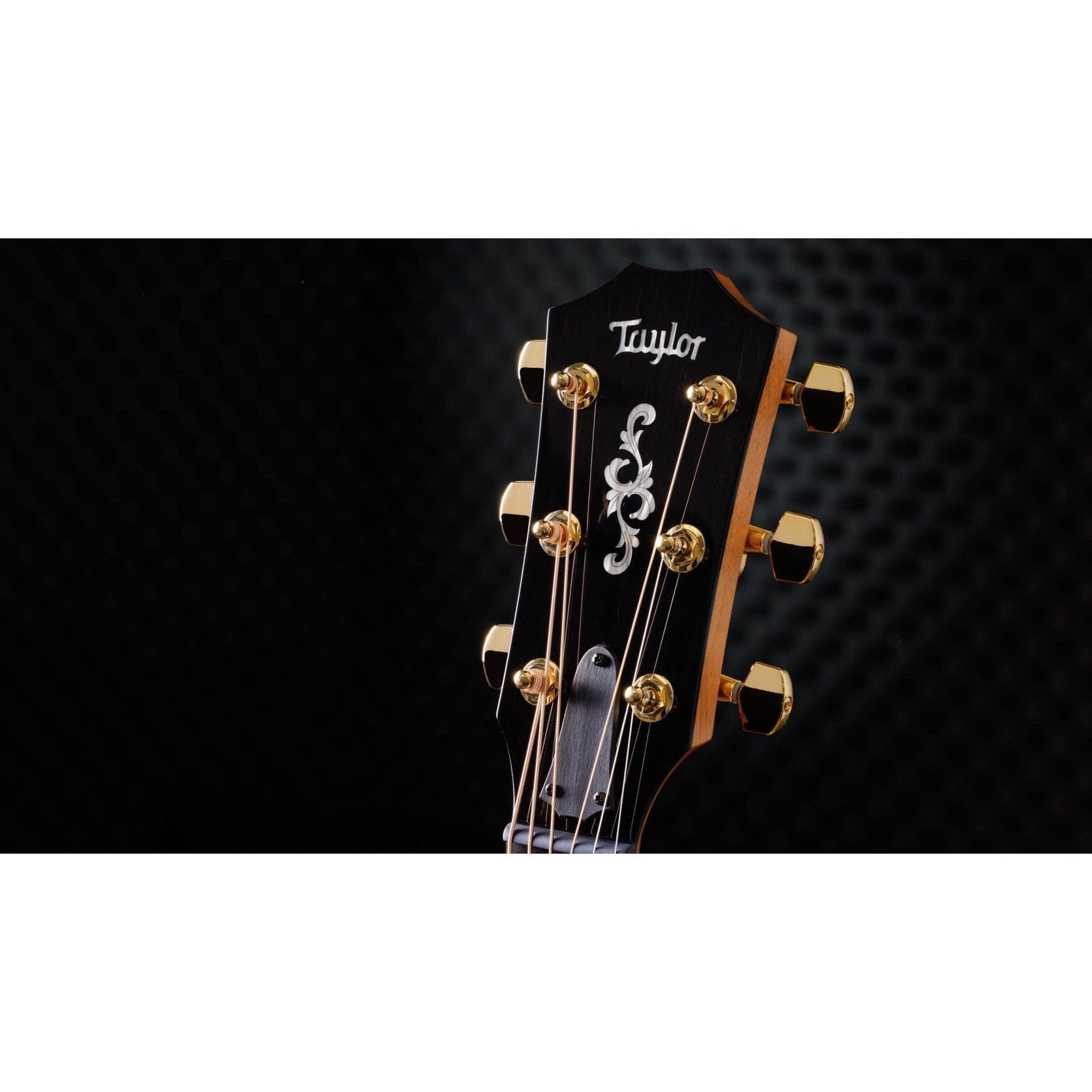 Đàn Guitar Acoustic Taylor 414ce Special Edition-Mai Nguyên Music