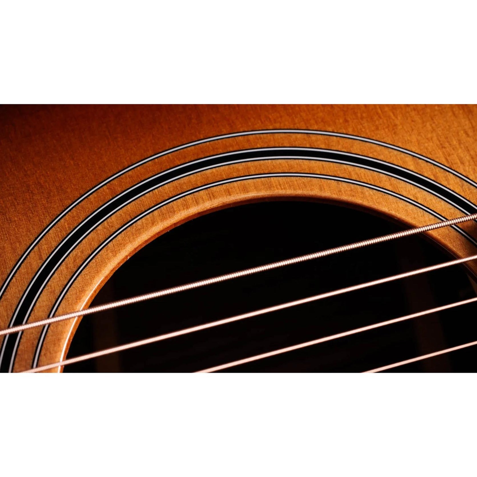 Đàn Guitar Acoustic Taylor 414ce Studio-Mai Nguyên Music