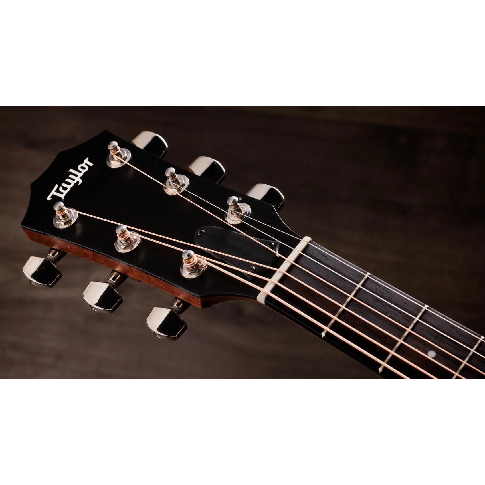 Đàn Guitar Acoustic Taylor 414ce Studio-Mai Nguyên Music