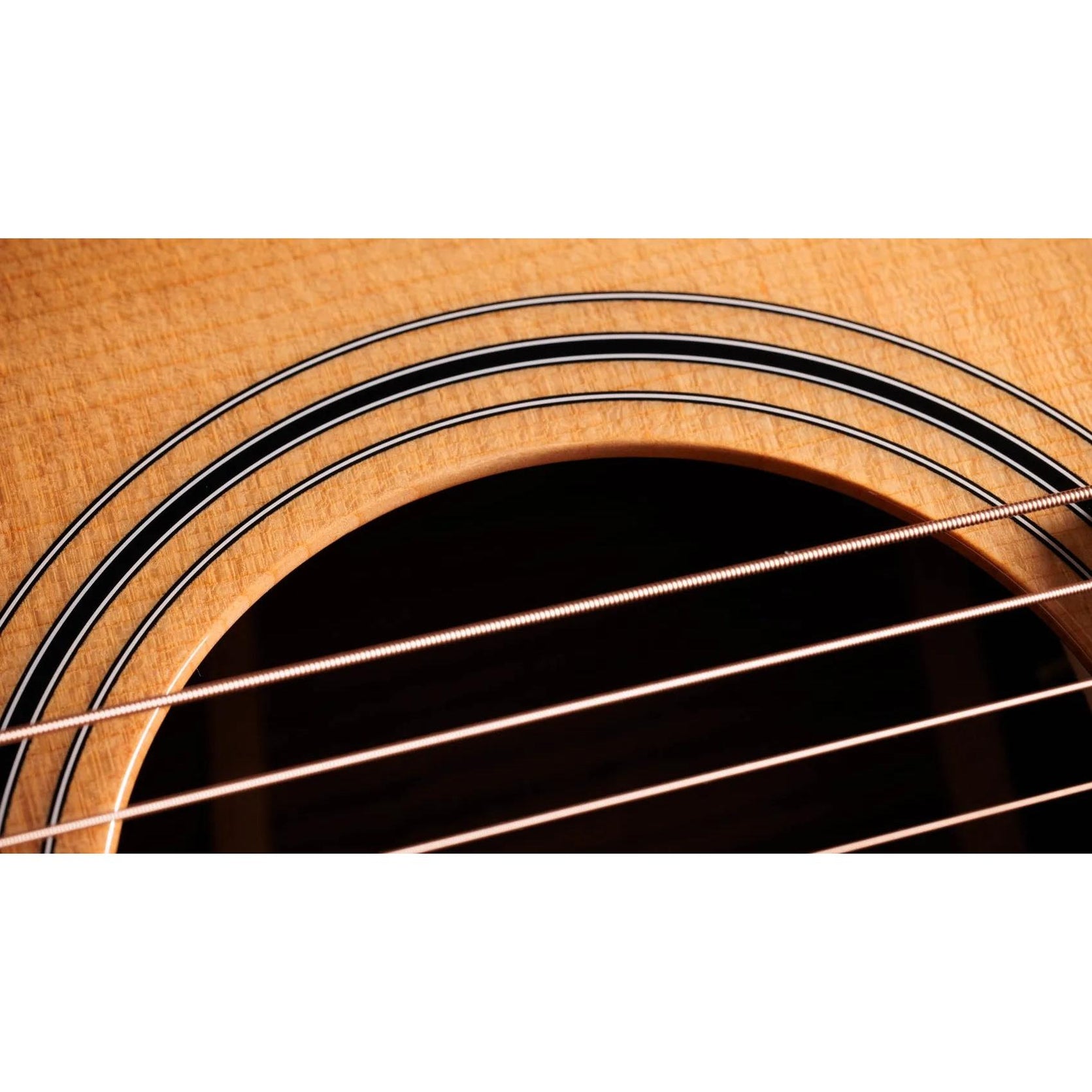 Đàn Guitar Acoustic Taylor 414ce Studio-Mai Nguyên Music