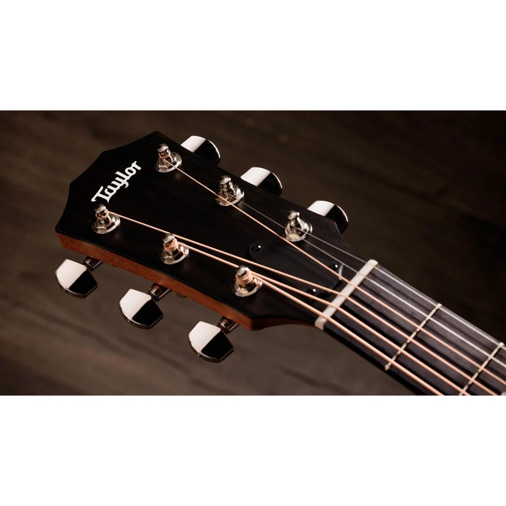 Đàn Guitar Acoustic Taylor 414ce Studio Special Edition - Honeyburst-Mai Nguyên Music