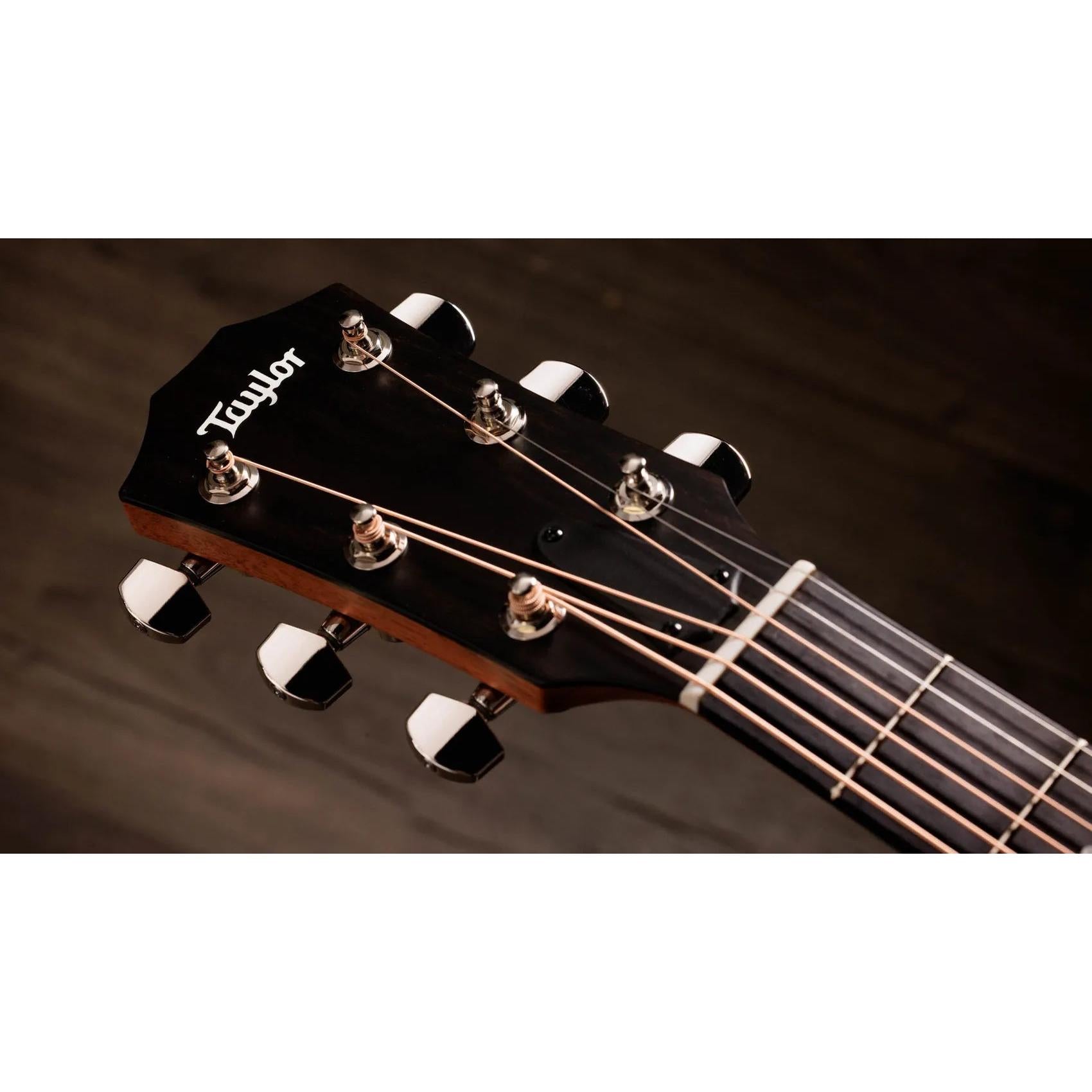 Đàn Guitar Acoustic Taylor 414ce Studio Special Edition - Honeyburst-Mai Nguyên Music