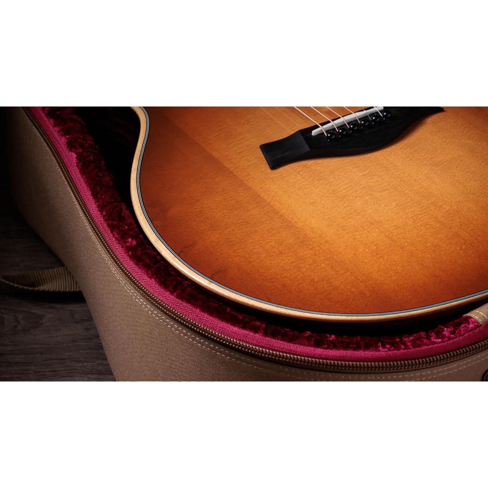 Đàn Guitar Acoustic Taylor 414ce Studio Special Edition - Honeyburst-Mai Nguyên Music
