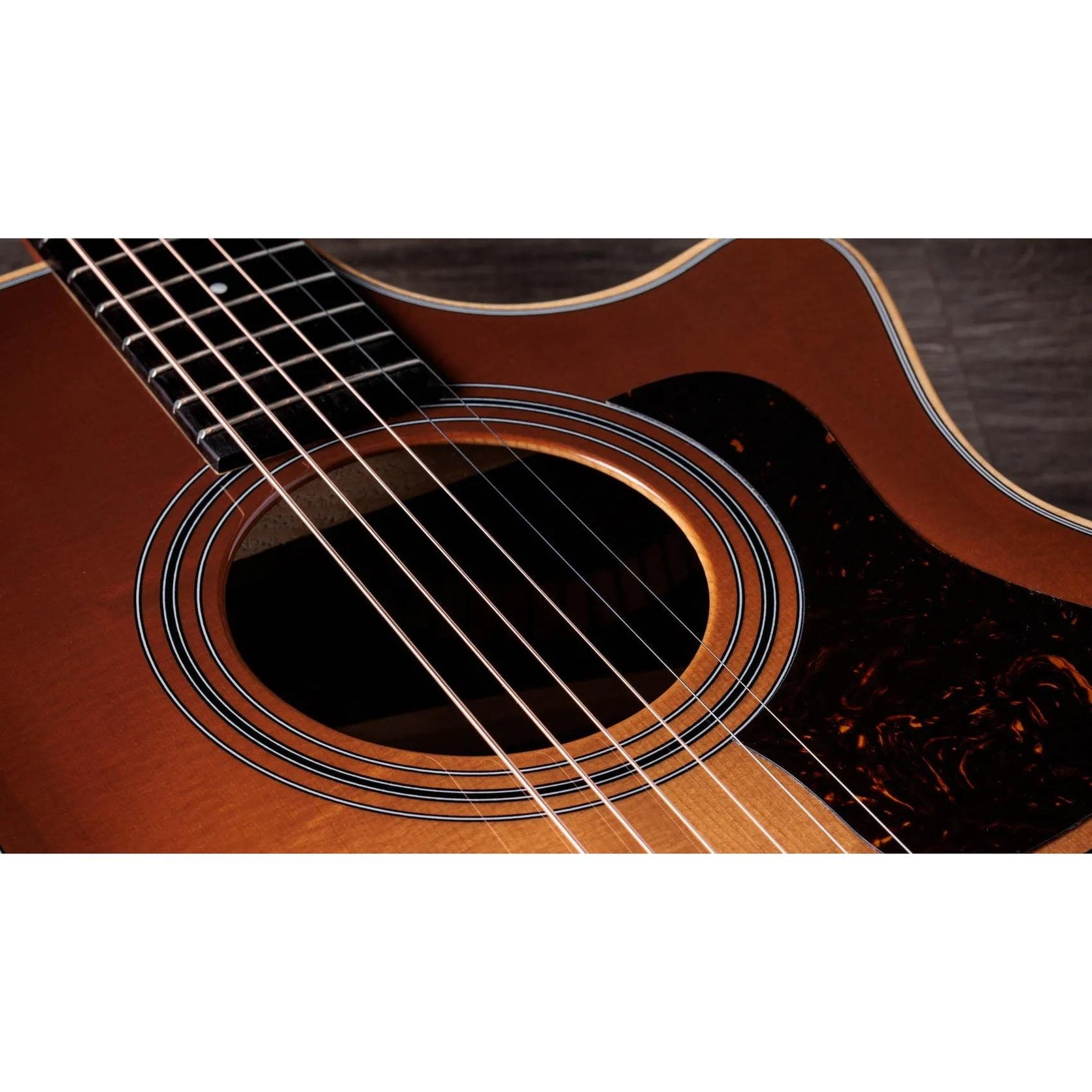 Đàn Guitar Acoustic Taylor 414ce Studio Special Edition - Honeyburst-Mai Nguyên Music