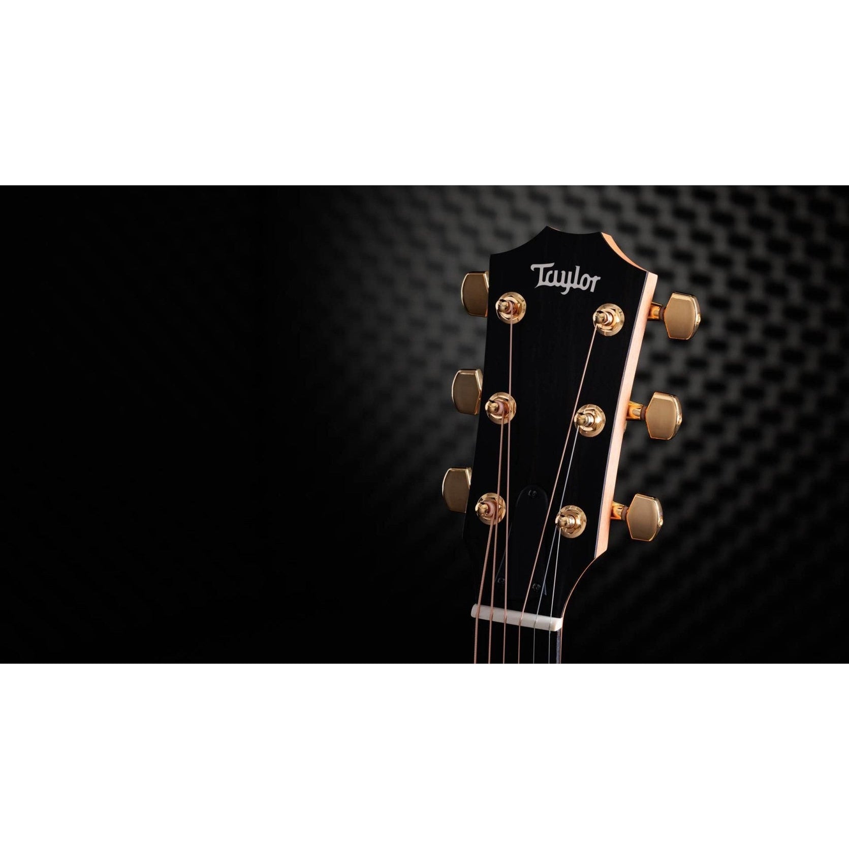 Đàn Guitar Acoustic Taylor 50th Anniversary 217e-SB Plus LTD-Mai Nguyên Music