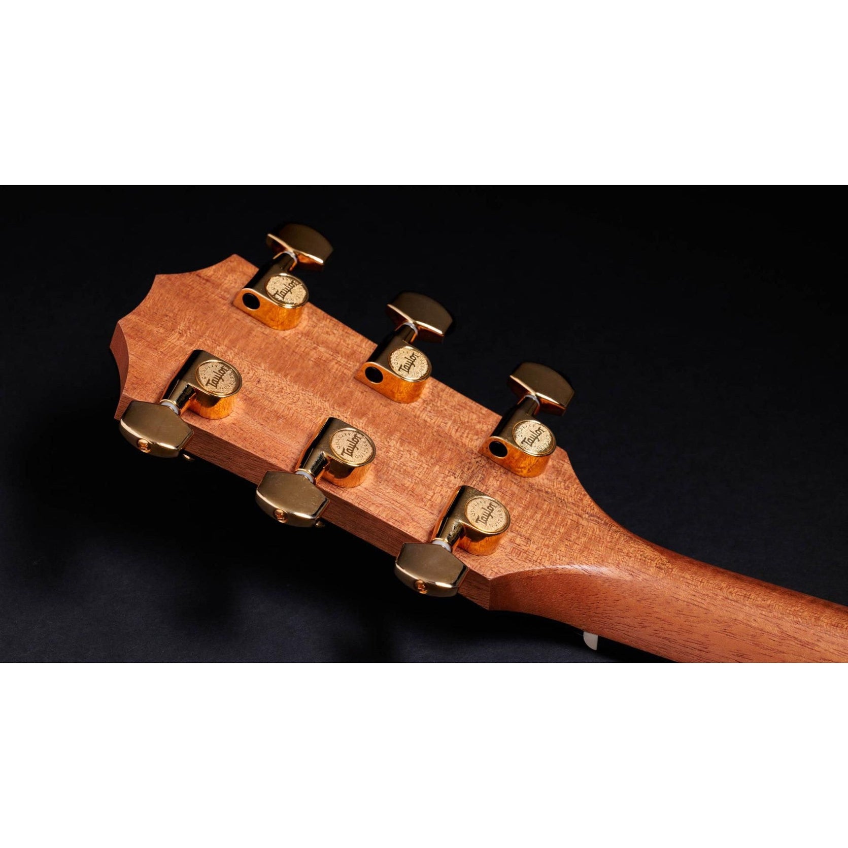 Đàn Guitar Acoustic Taylor 50th Anniversary 217e-SB Plus LTD-Mai Nguyên Music