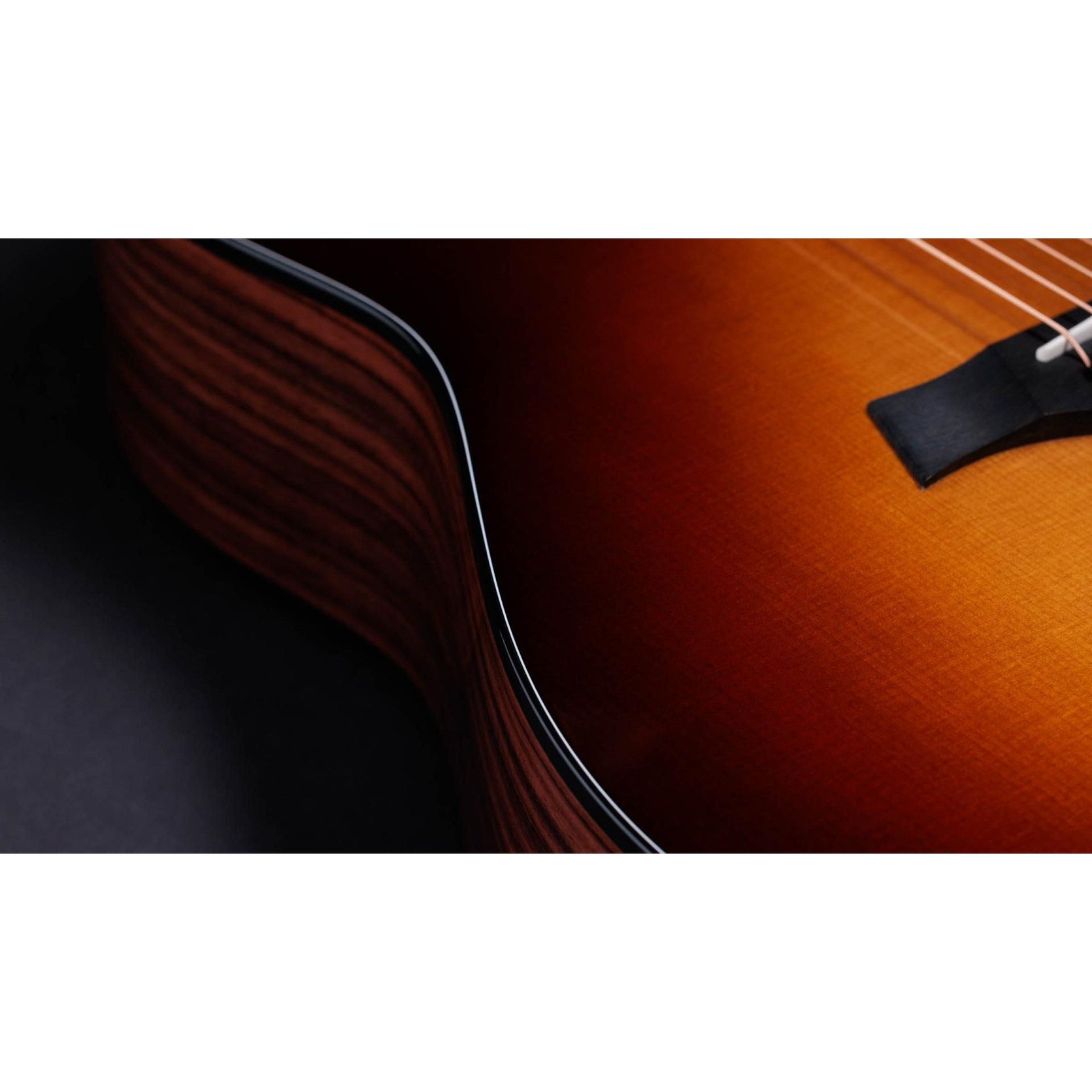 Đàn Guitar Acoustic Taylor 50th Anniversary 217e-SB Plus LTD-Mai Nguyên Music