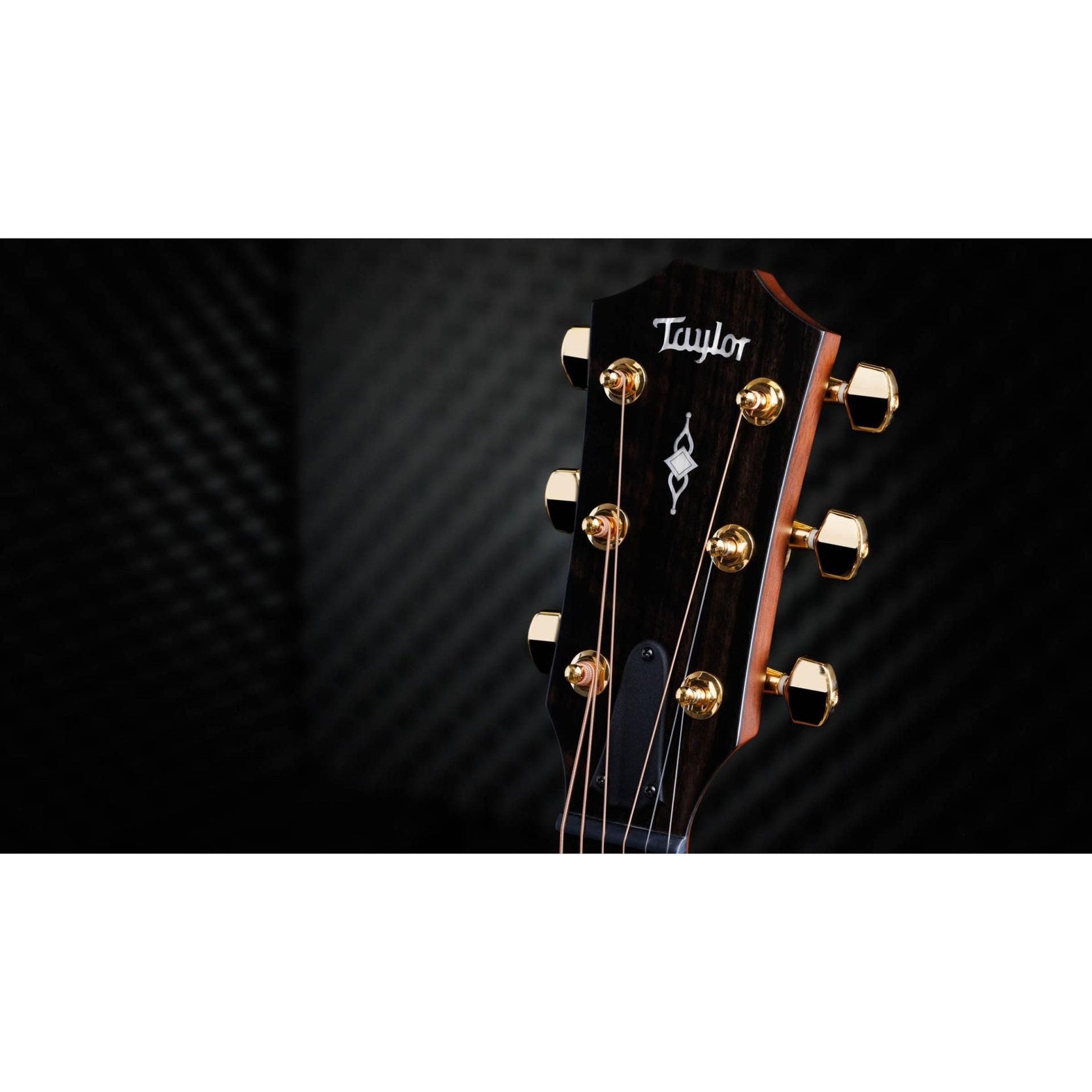 Đàn Guitar Acoustic Taylor 50th Anniversary 314ce LTD w/Hardshell Case-Mai Nguyên Music