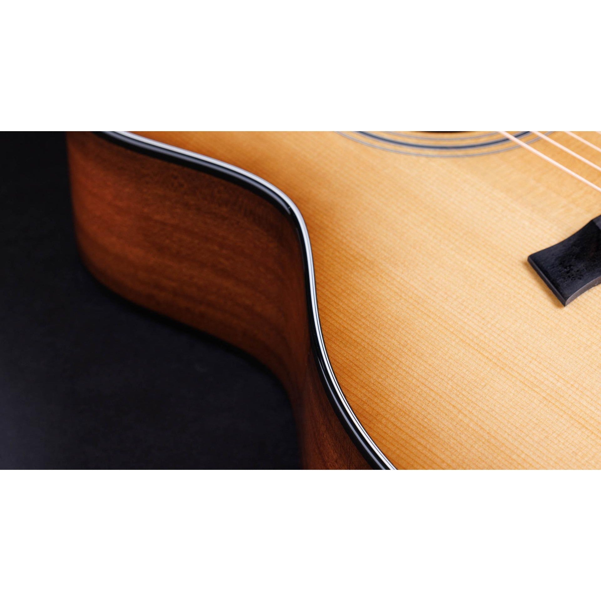 Đàn Guitar Acoustic Taylor 50th Anniversary 314ce LTD w/Hardshell Case-Mai Nguyên Music