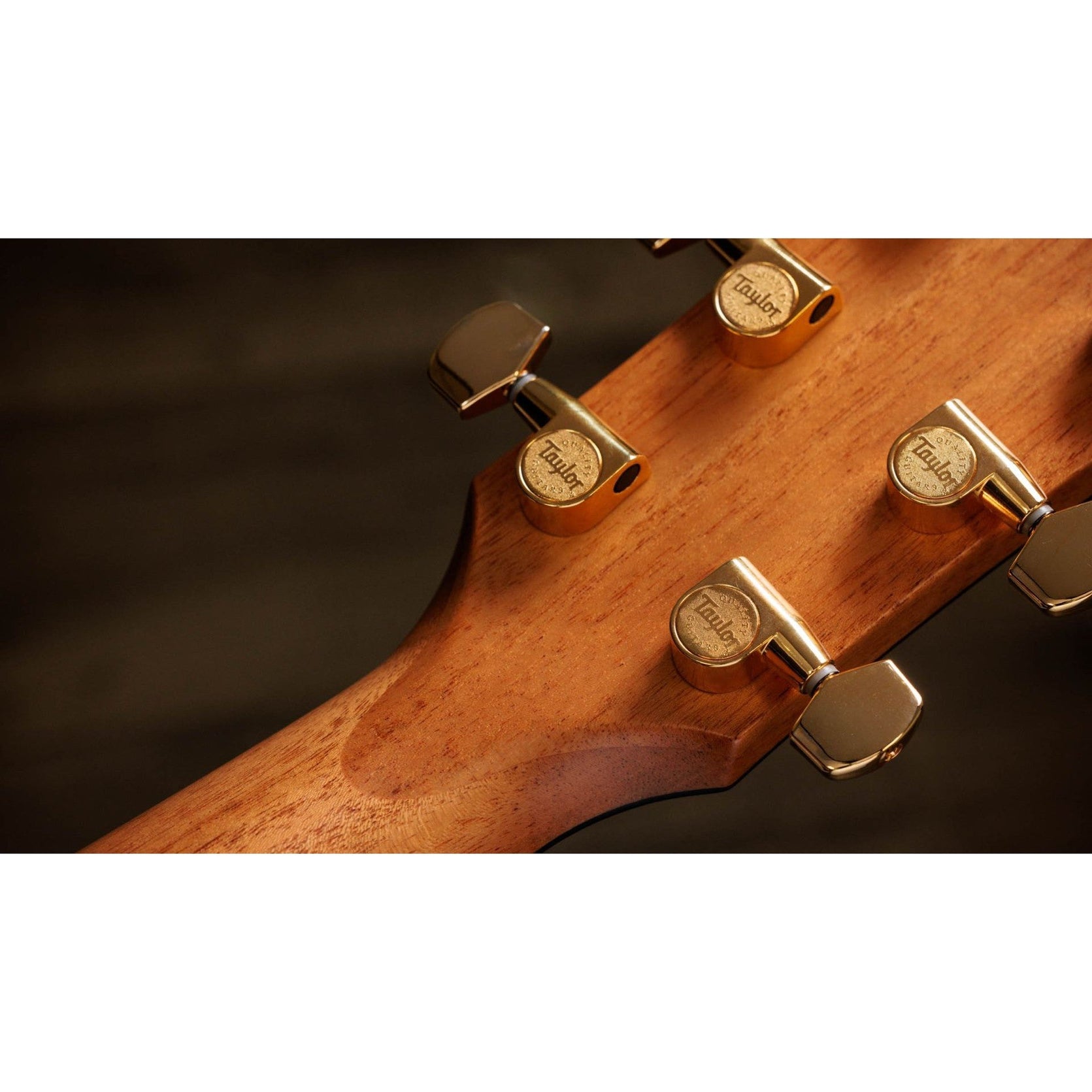 Đàn Guitar Acoustic Taylor 50th Anniversary 414ce Special Edition-Mai Nguyên Music