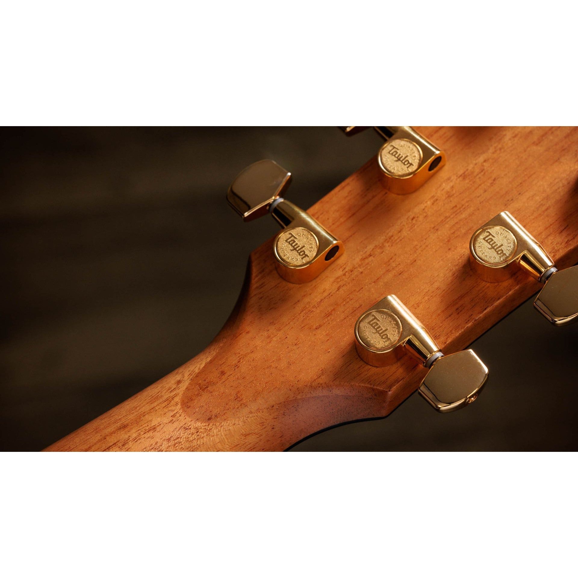 Đàn Guitar Acoustic Taylor 50th Anniversary 414ce Special Edition-Mai Nguyên Music