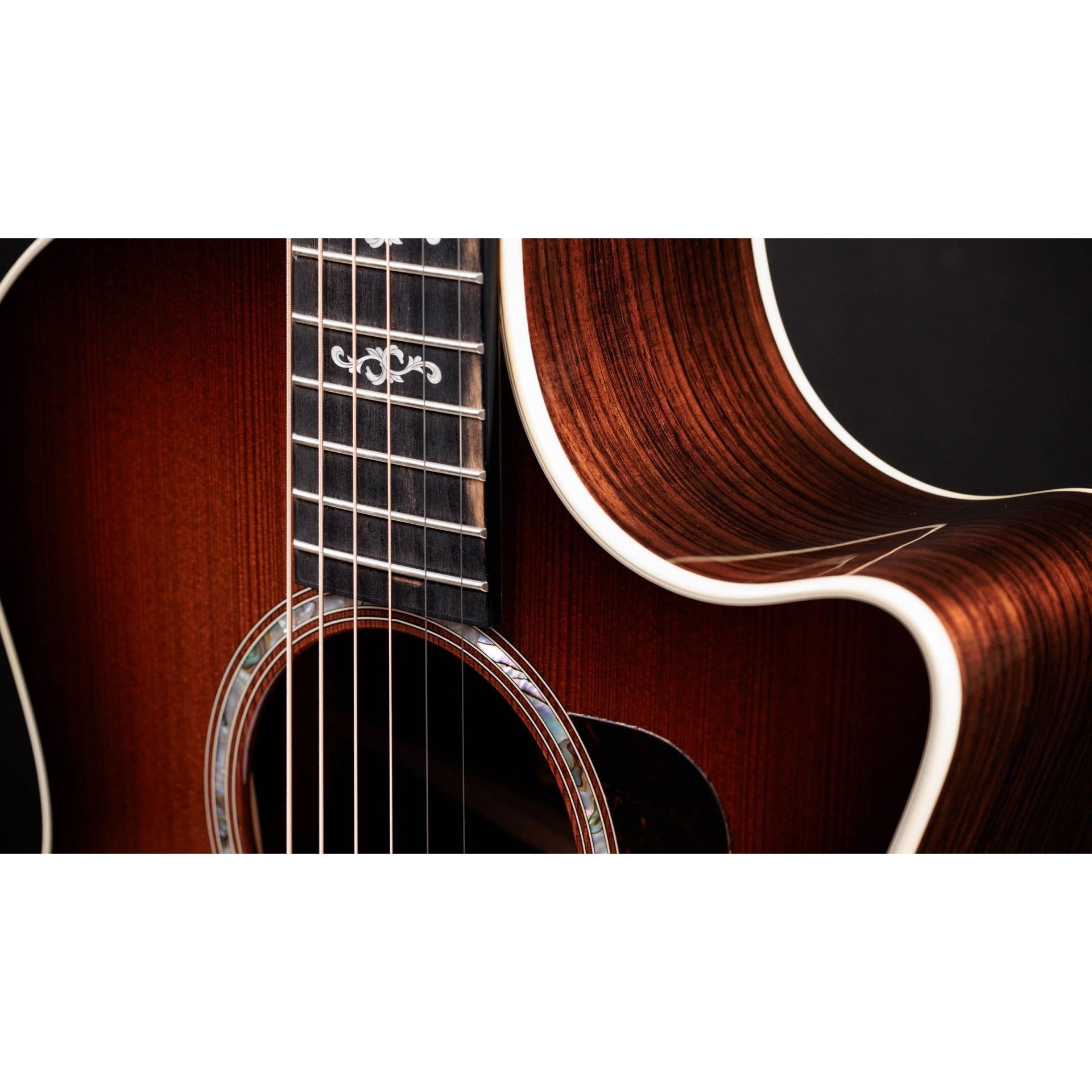 Đàn Guitar Acoustic Taylor 50th Anniversary 414ce Special Edition-Mai Nguyên Music