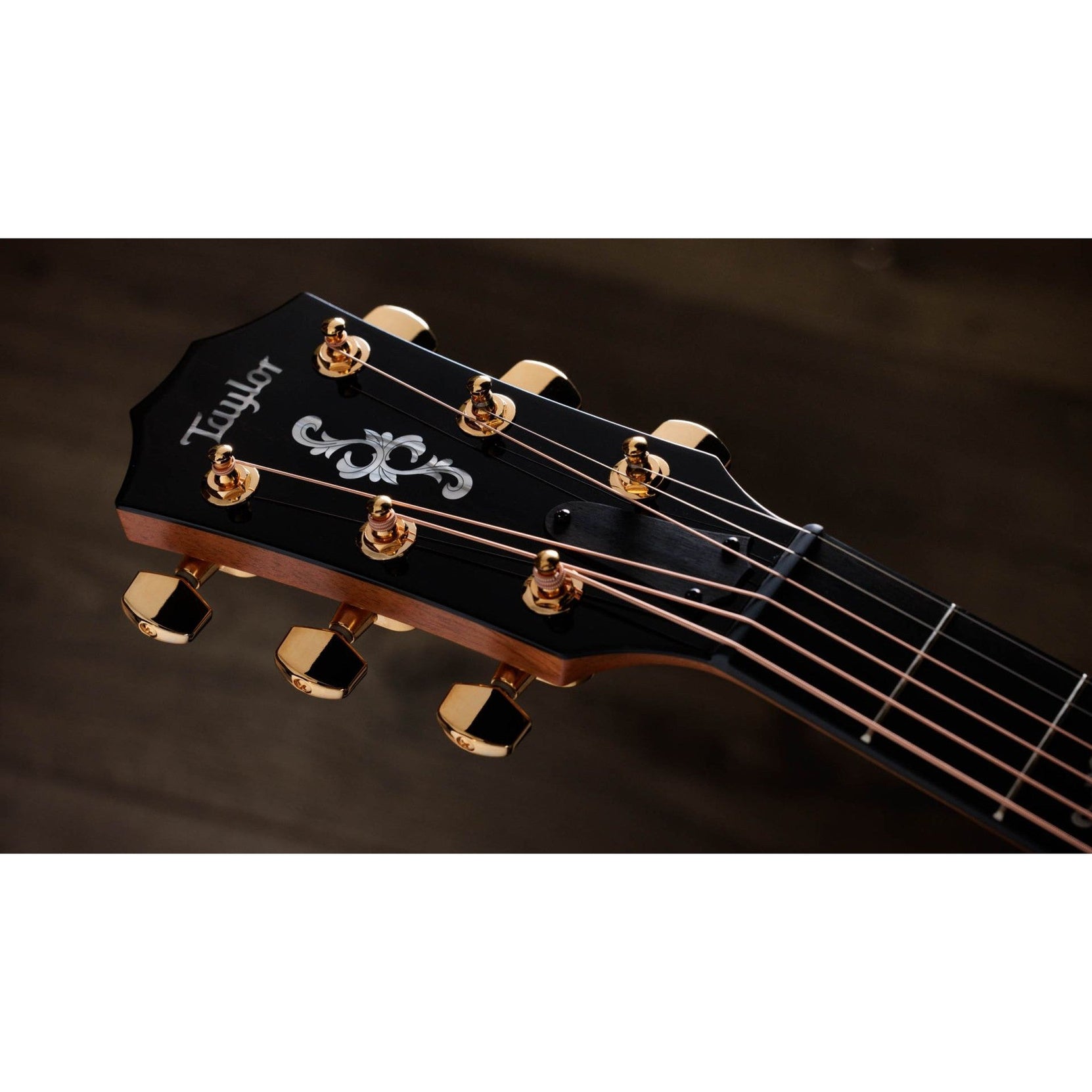 Đàn Guitar Acoustic Taylor 50th Anniversary 414ce Special Edition-Mai Nguyên Music