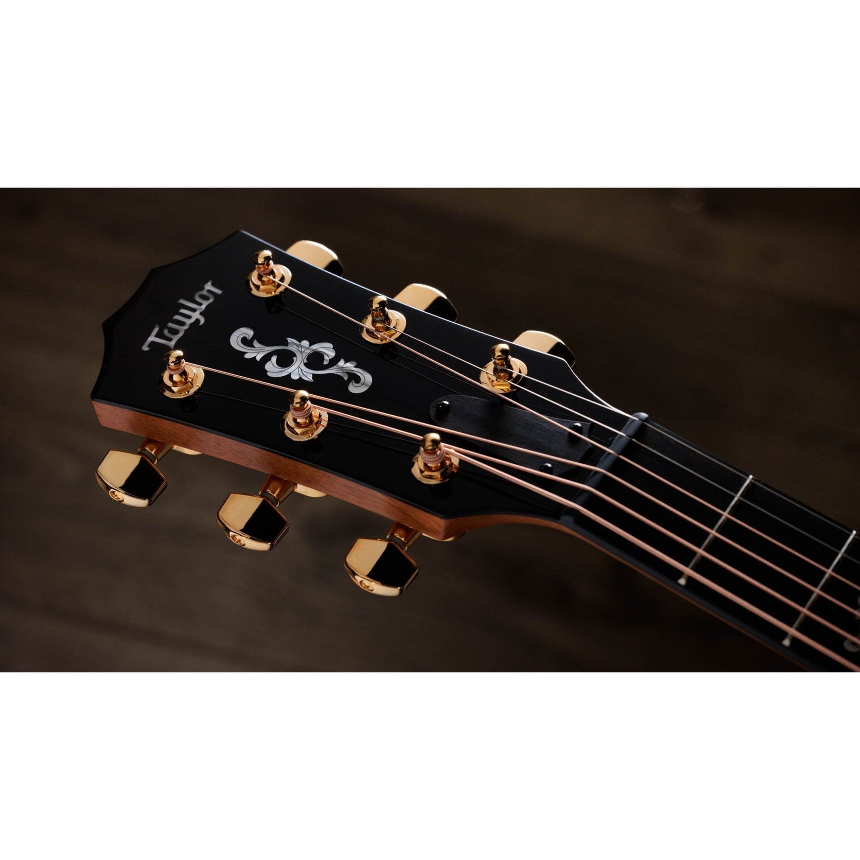 Đàn Guitar Acoustic Taylor 50th Anniversary 414ce Special Edition-Mai Nguyên Music