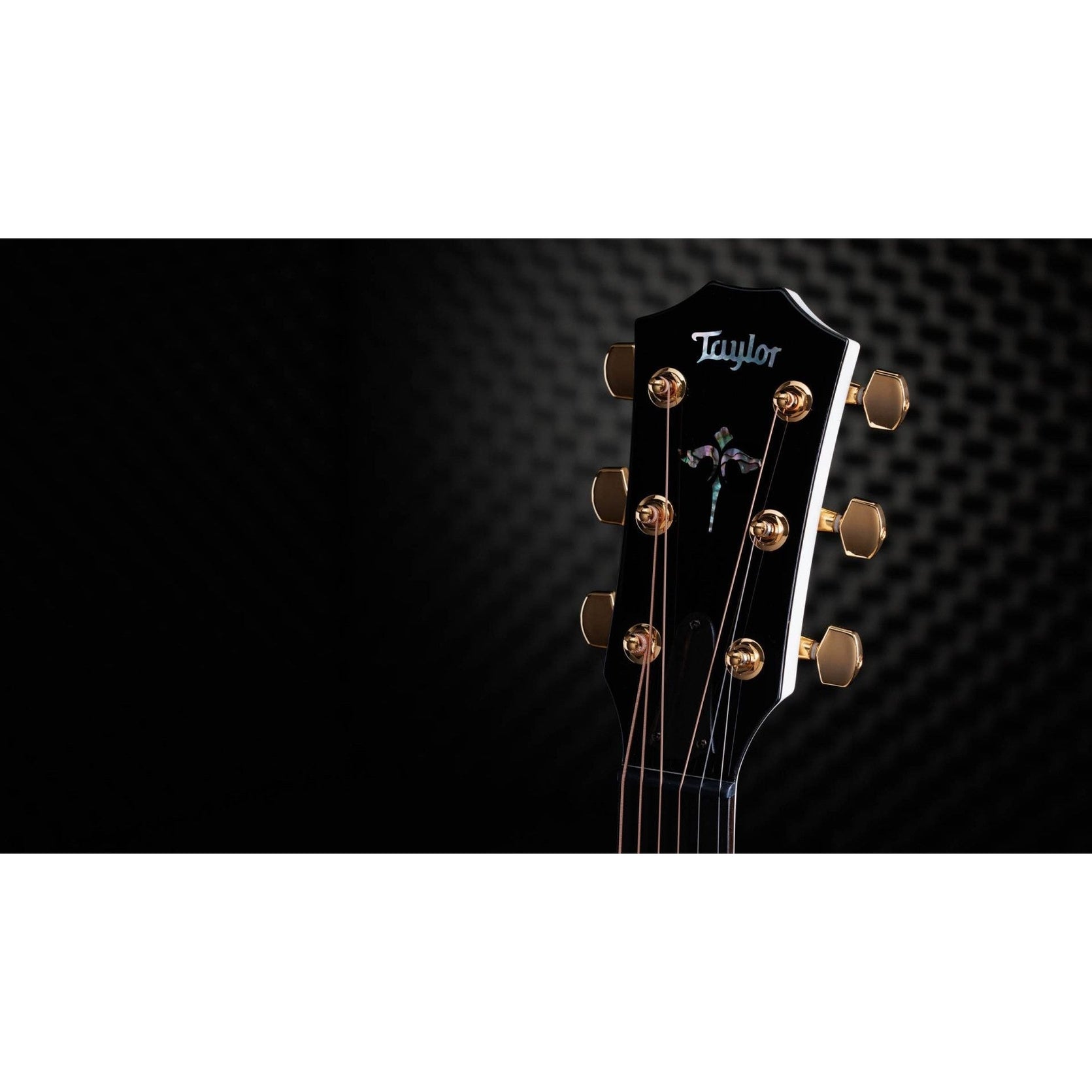 Đàn Guitar Acoustic Taylor 50th Anniversary 614ce LTD-Mai Nguyên Music