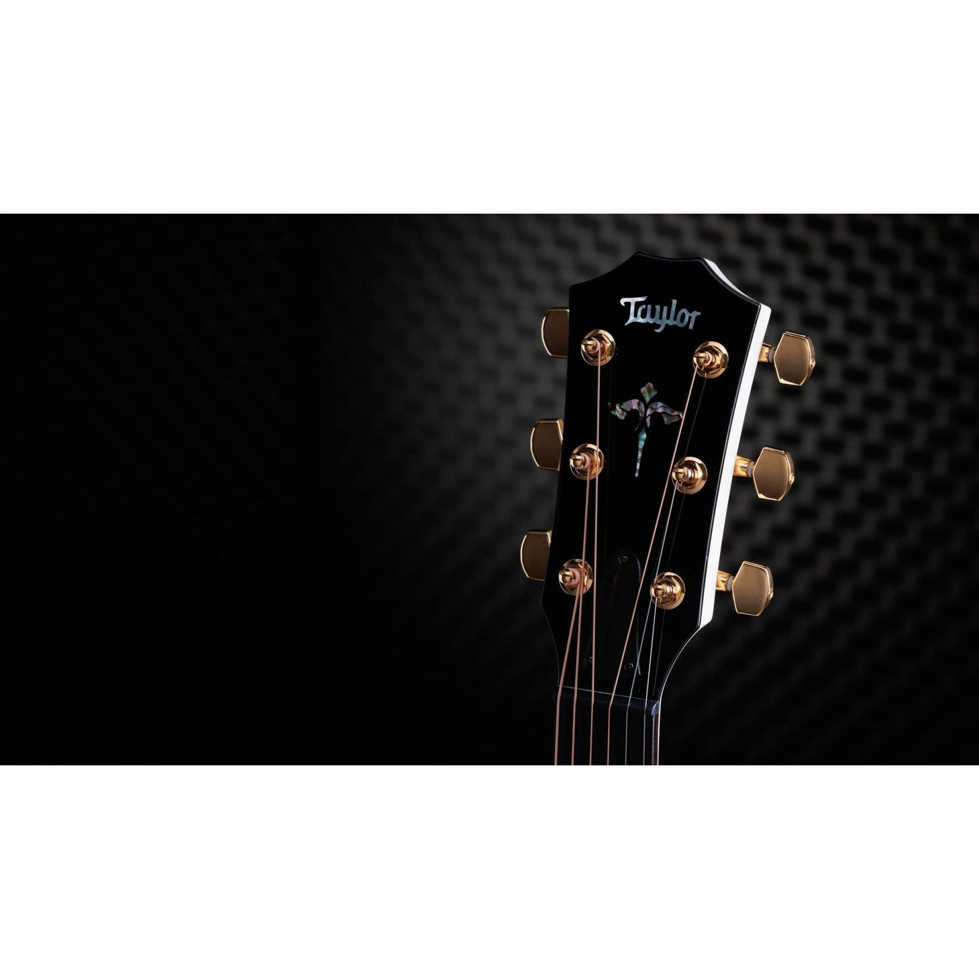 Đàn Guitar Acoustic Taylor 50th Anniversary 614ce LTD-Mai Nguyên Music