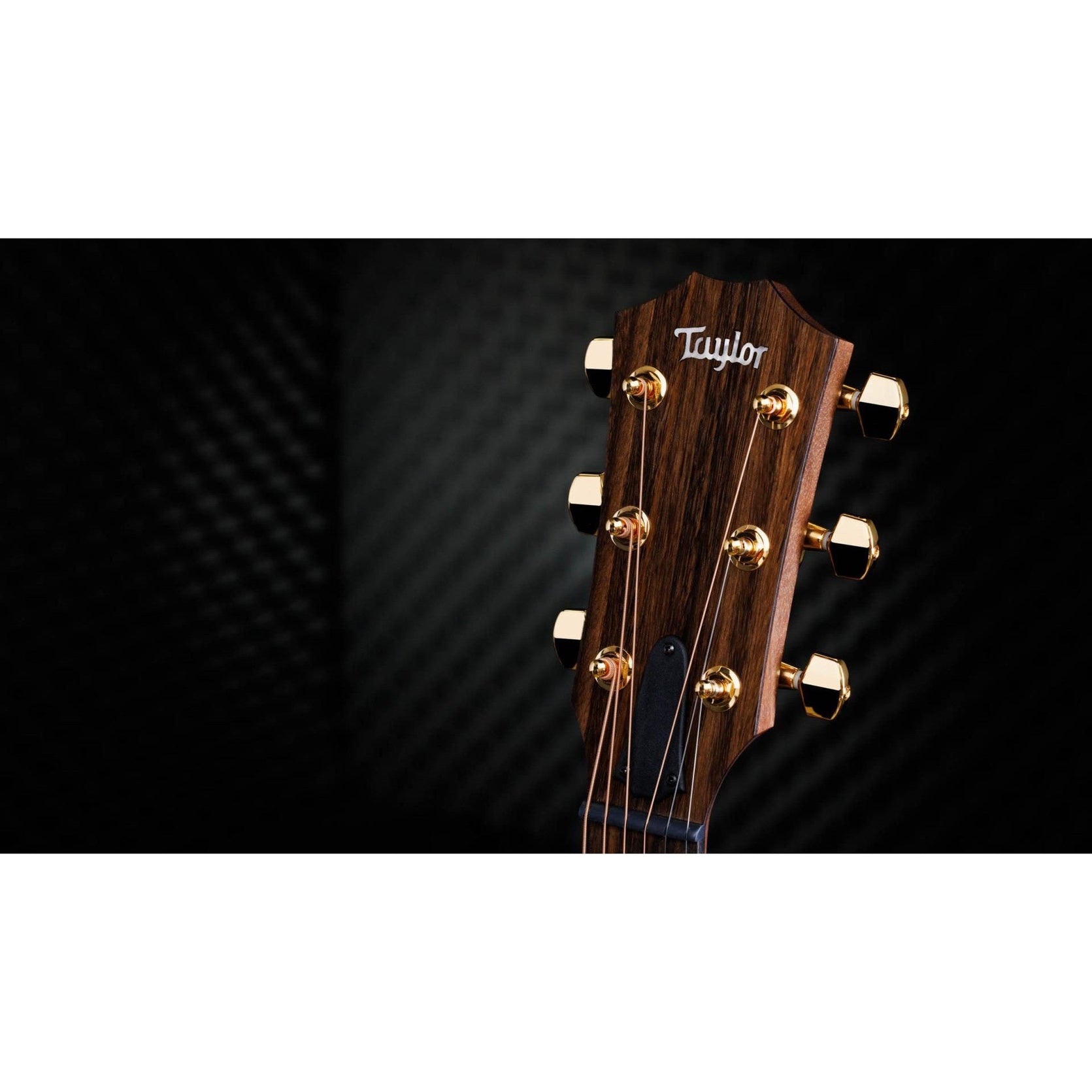 Đàn Guitar Acoustic Taylor 50th Anniversary AD14ce-SB LTD-Mai Nguyên Music